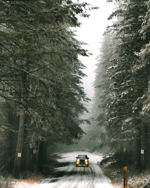 公路旅行, 冒險, 冬季 的 免费素材图片