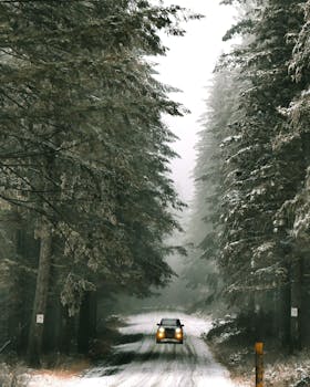 Car driving in solitude down snowy roadway among coniferous green trees in snowfall