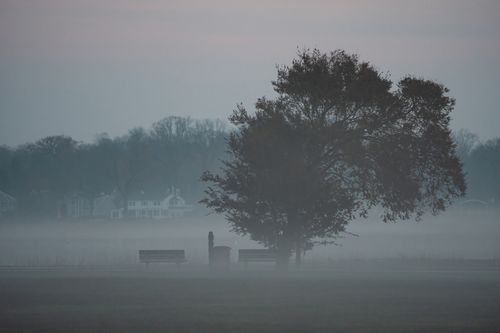 Free Serene autumn scene at Cove Island Park with fog enveloping trees and benches at dawn. Stock Photo