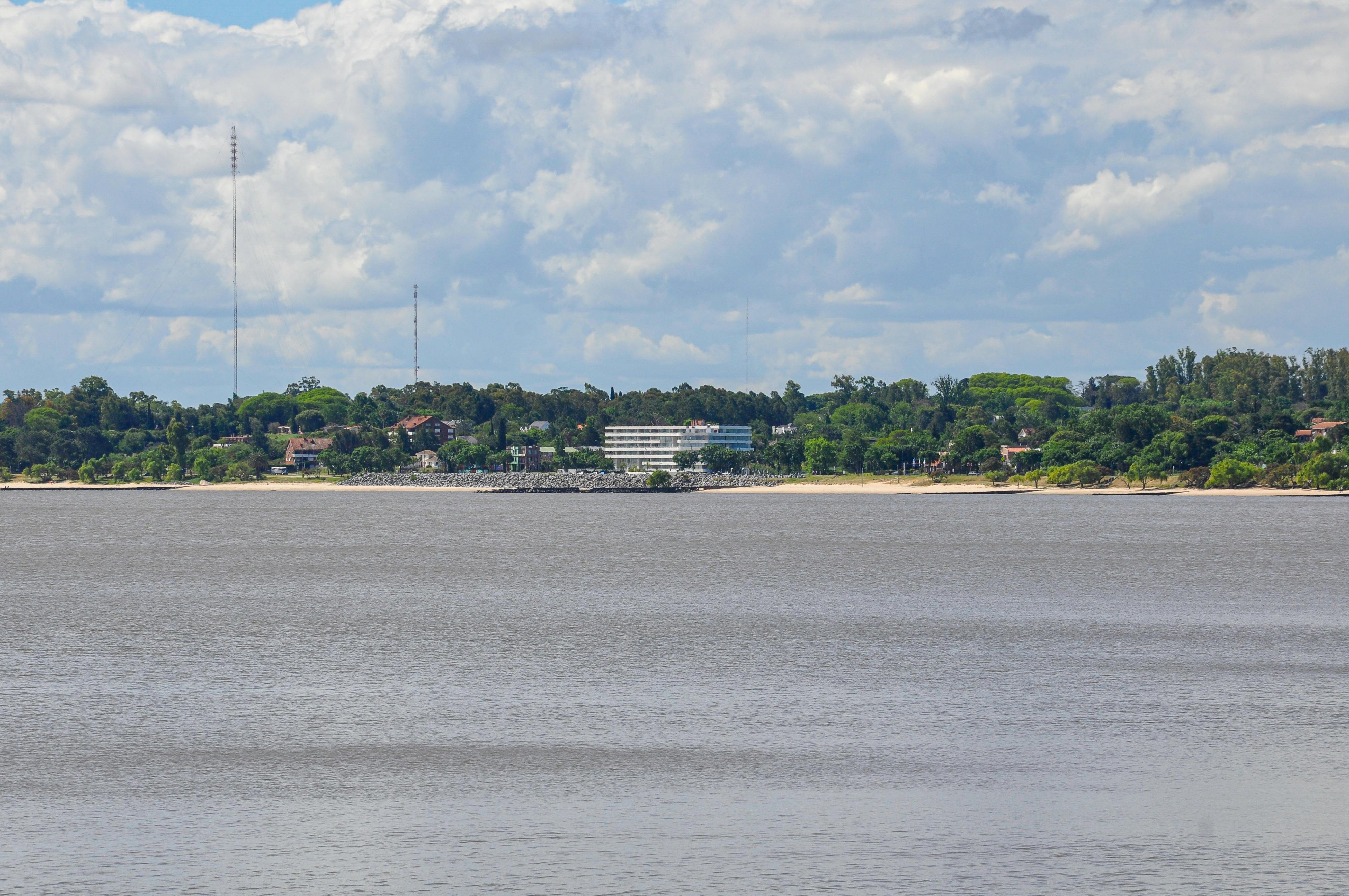 科技巨頭Nvidia與微軟攜手引領美股AI晶片與雲端新潮流