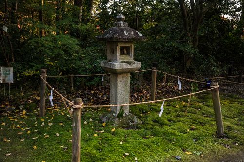 Free Serene scene of a traditional Japanese stone lantern surrounded by lush greenery in a garden. Stock Photo