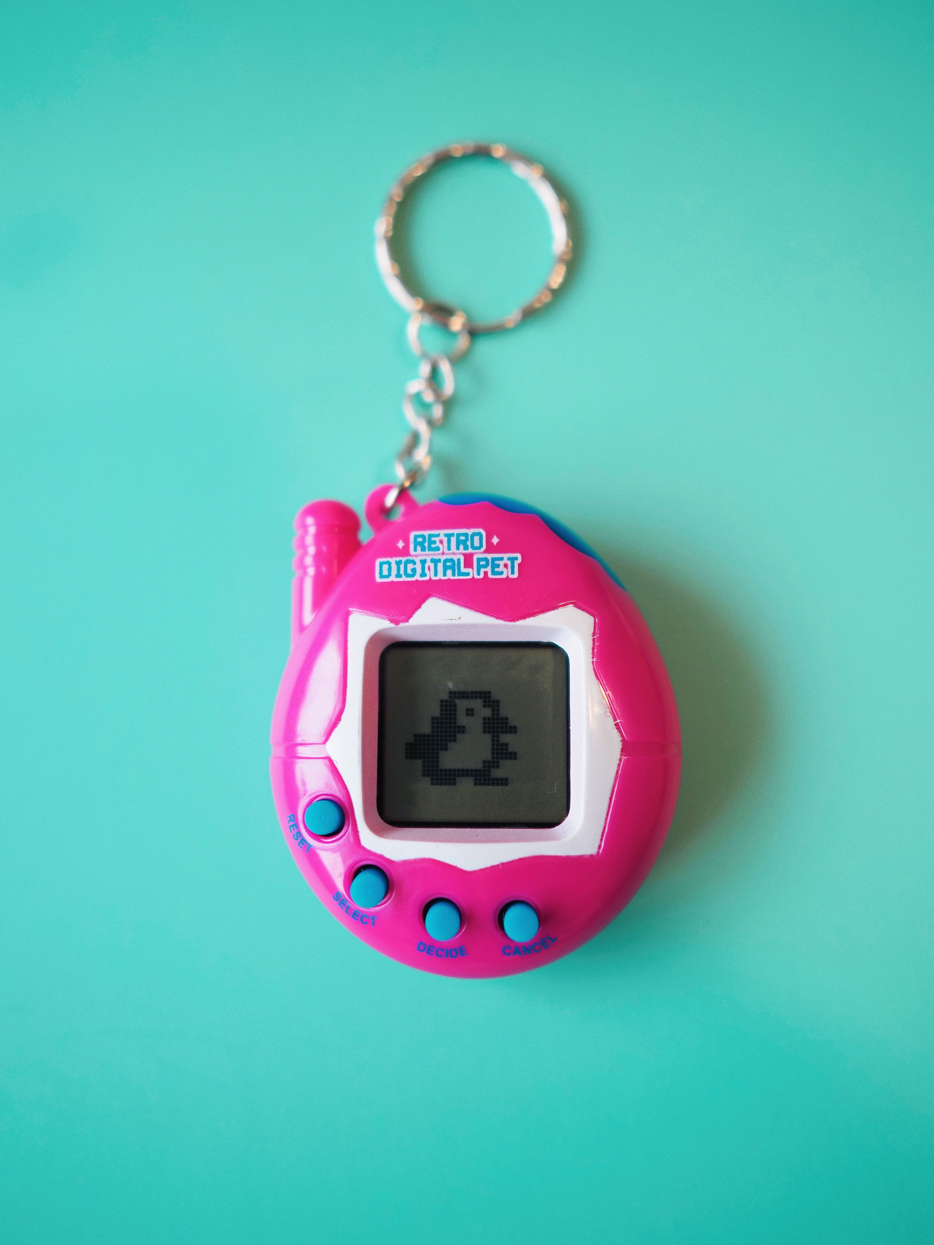 Vibrant Retro Digital Pet Keychain on Blue · Free Stock Photo