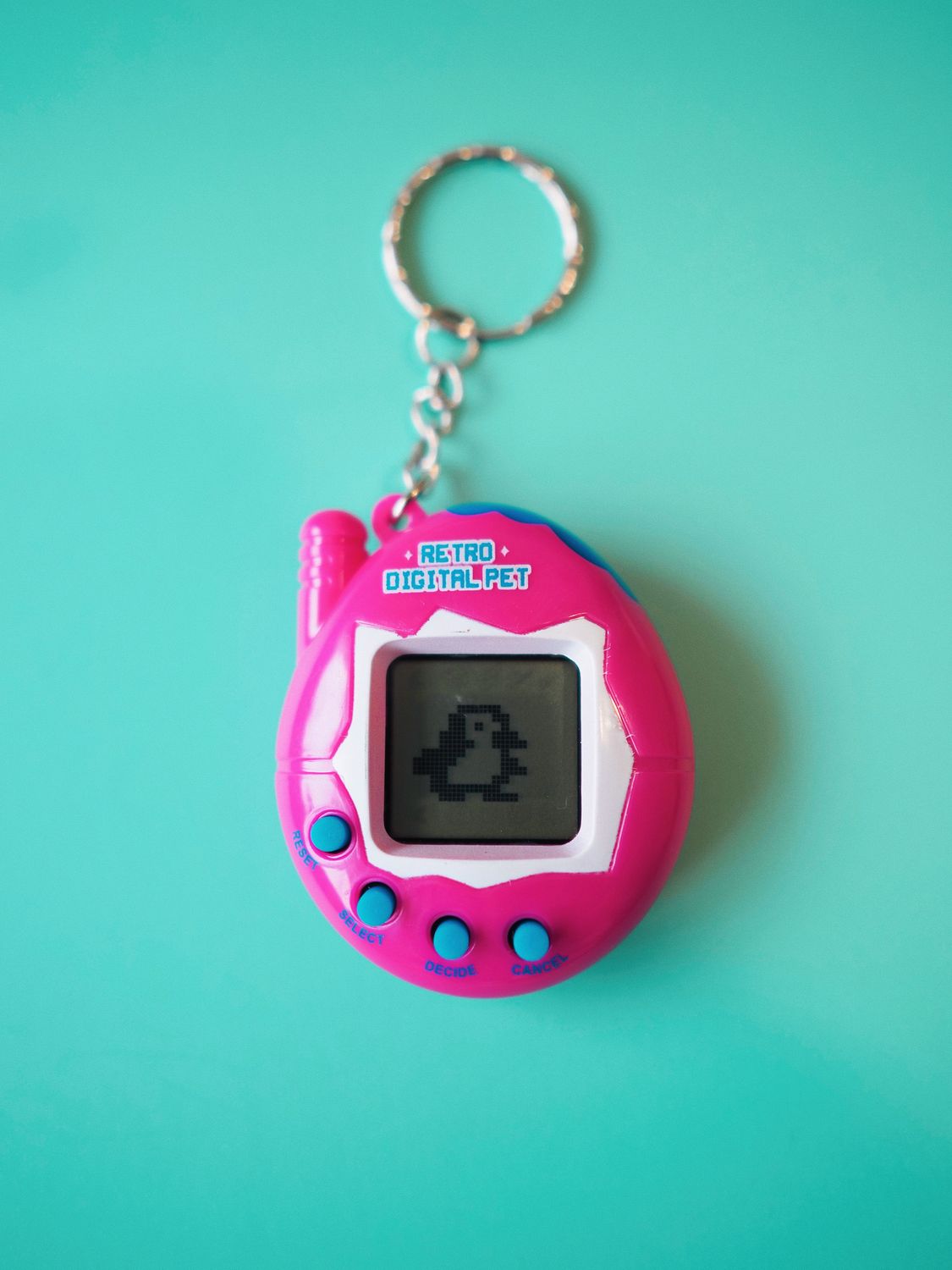 Blue Retro Key Chain Vibrant Retro Digital Pet Keychain on Blue · Free Stock Photo