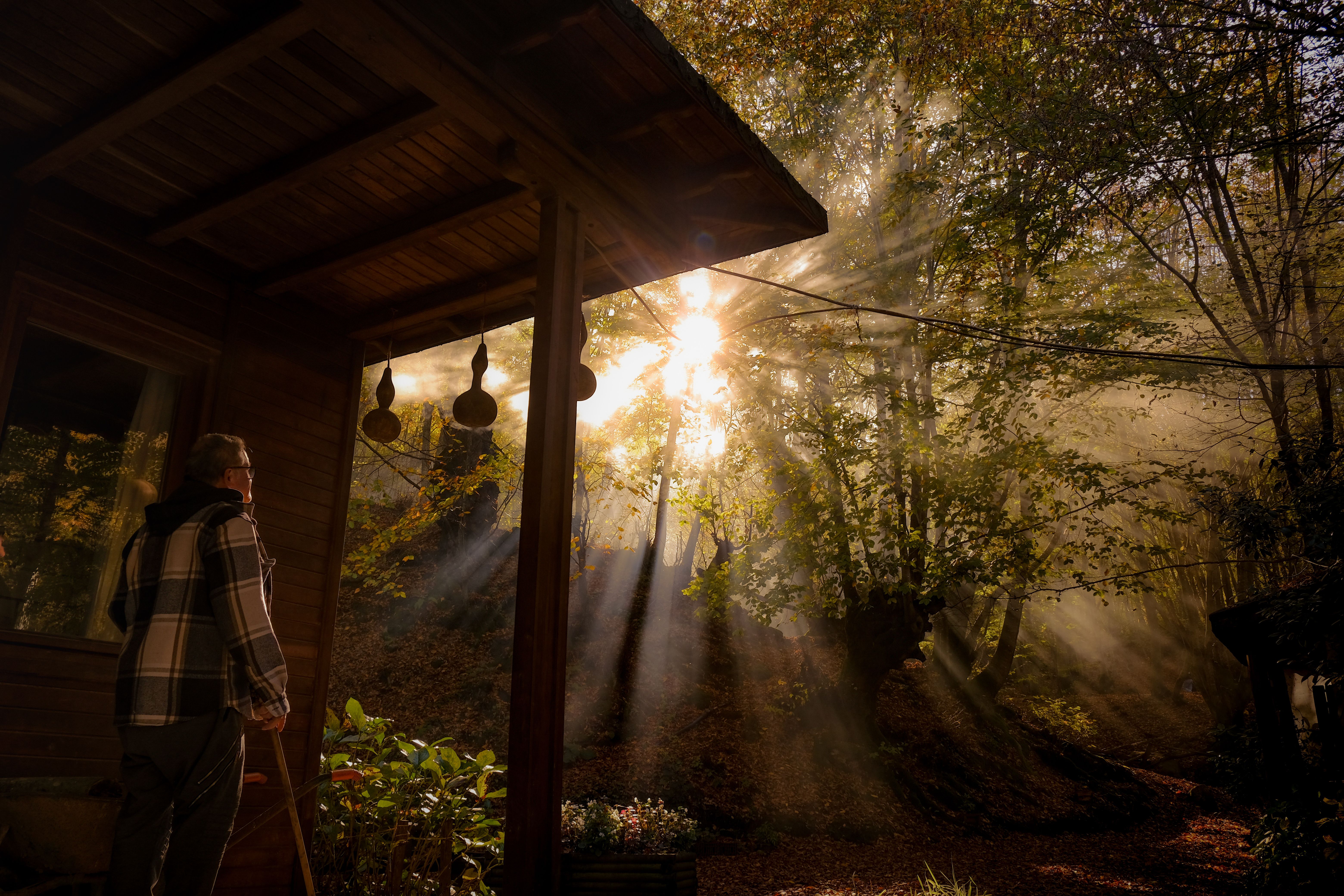 Elderly man enjoying morning light in a forest cabin setting.