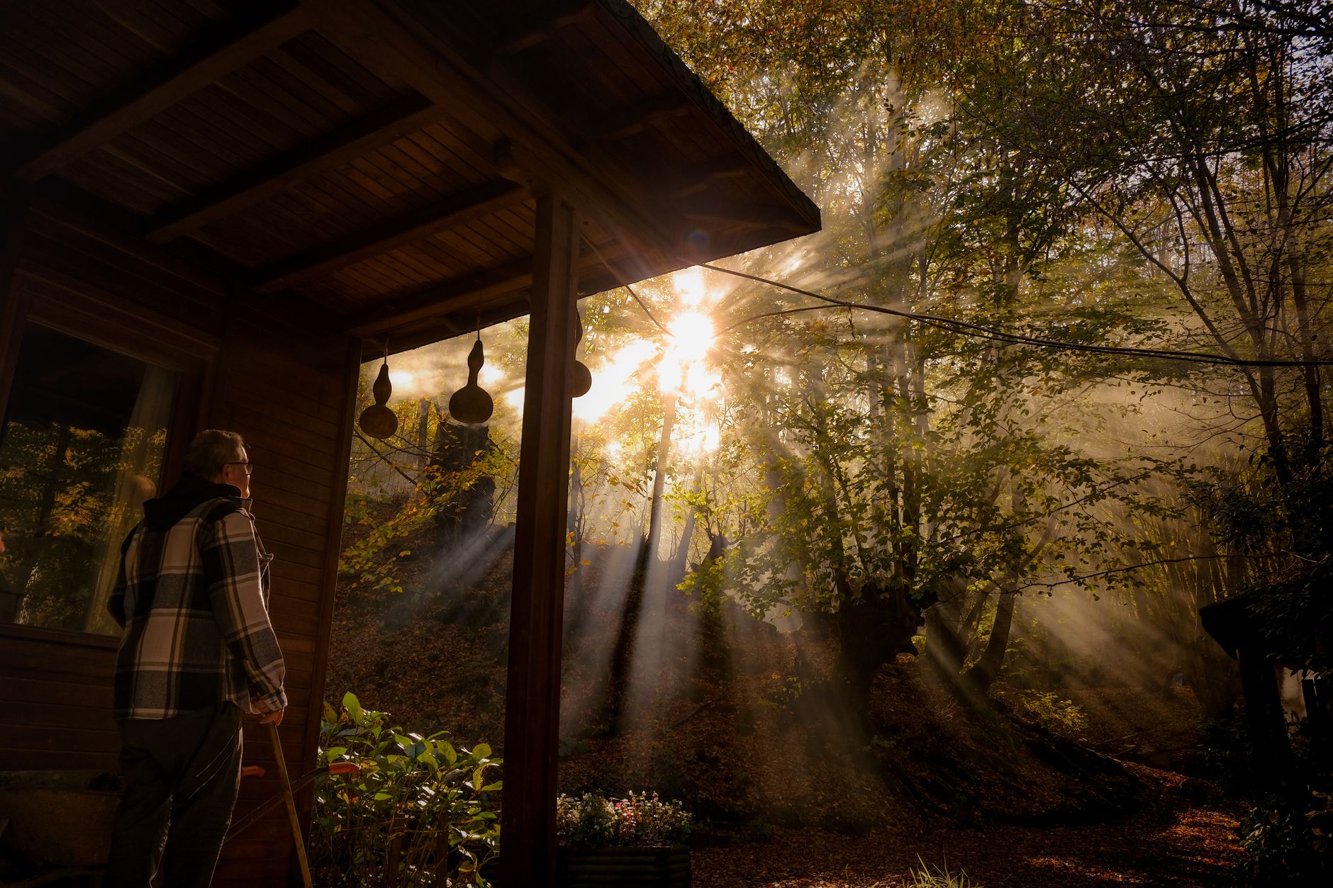 Elderly man enjoying morning light in a forest cabin setting.