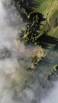 A stunning aerial shot of the mist-covered forest near Blaichach, Bavaria, Germany.