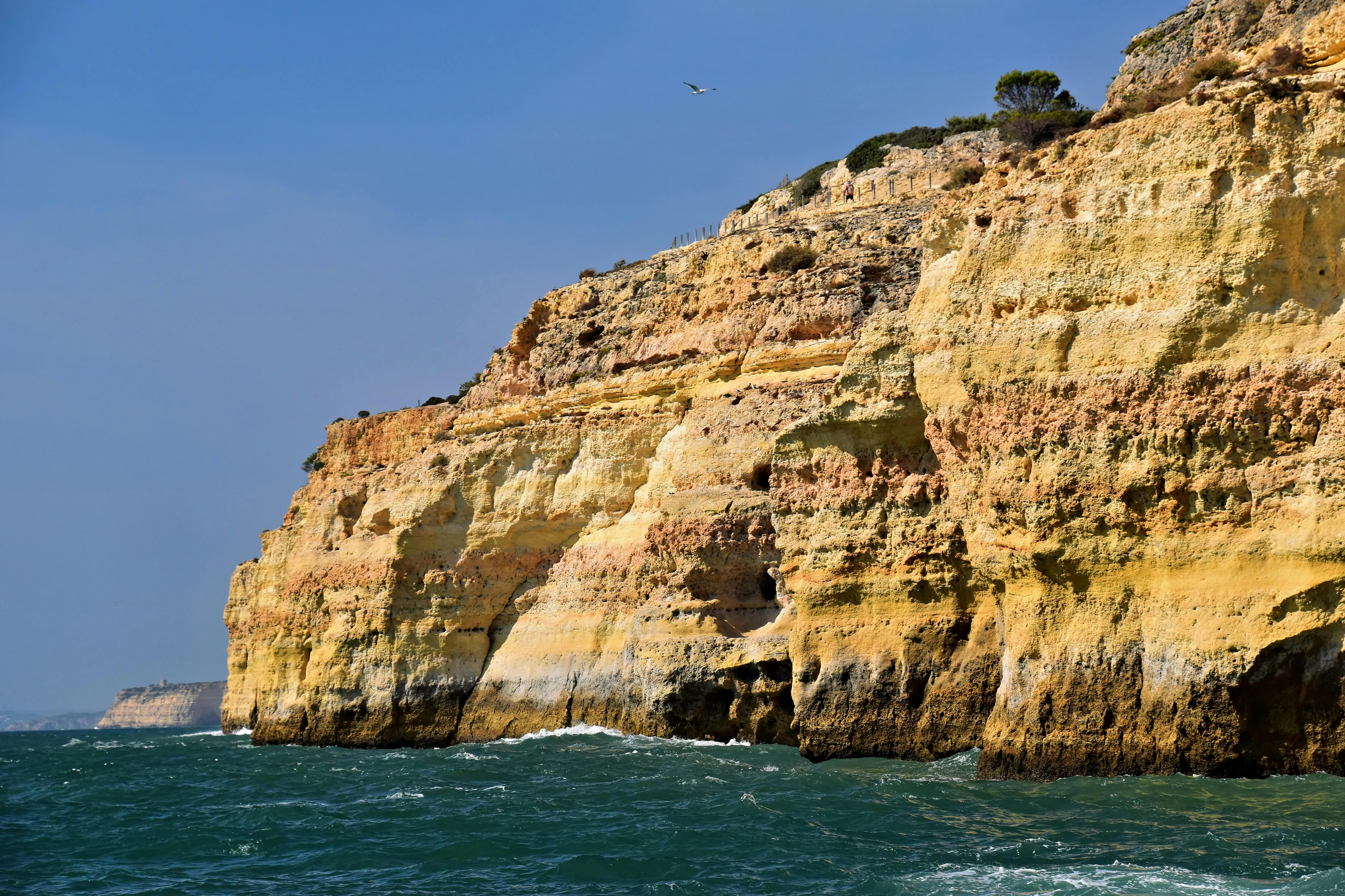 A More Troubling Picture of Sea Level Rise Is Coming into View — Photo by Jeffrey Eisen on Pexels