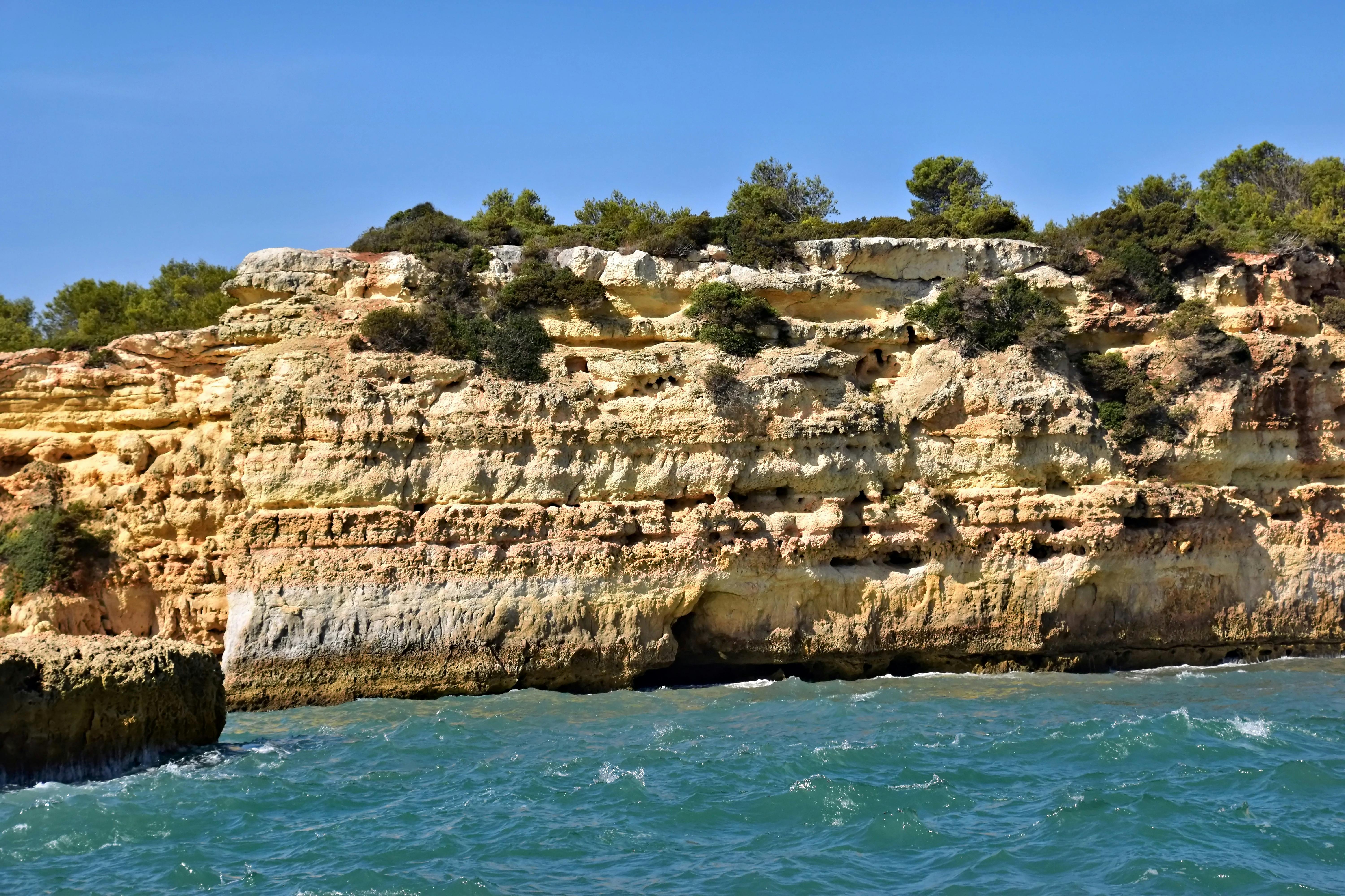 A More Troubling Picture of Sea Level Rise Is Coming into View — Photo by Jeffrey Eisen on Pexels