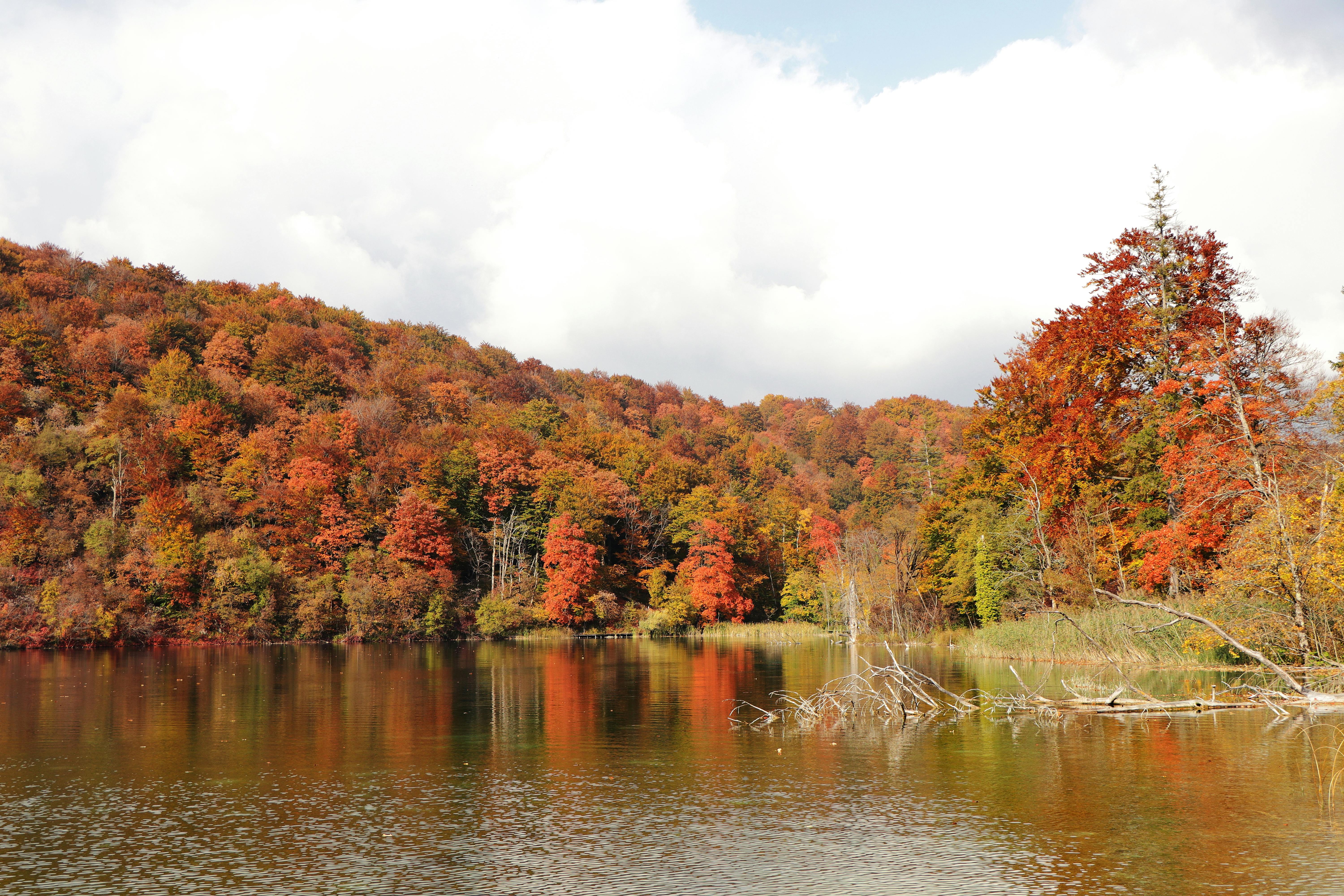 The '925 Gold' Mistake: Why Your Gold Jewelry Might Be Silver in Disguise