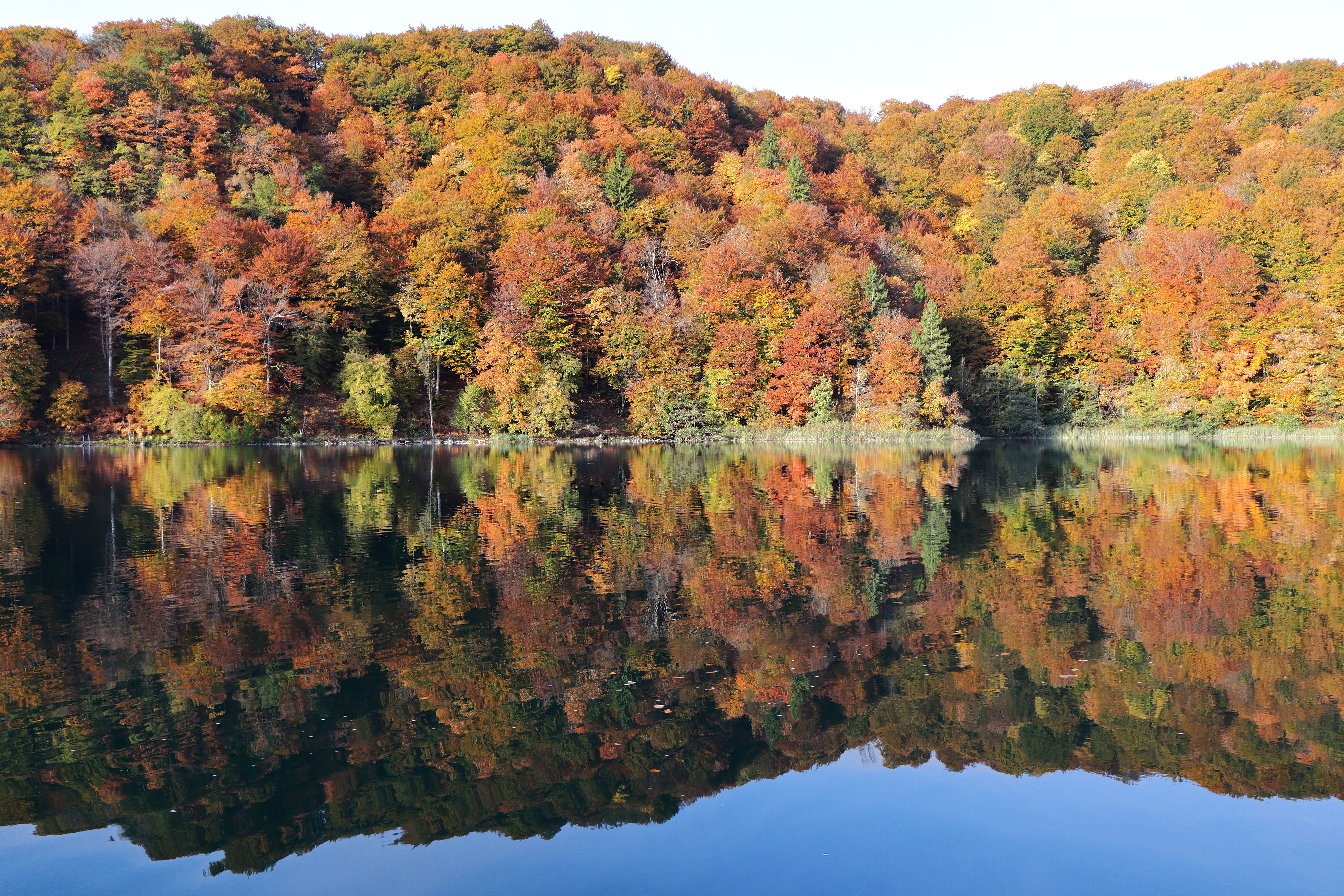 Menjelajahi Keajaiban Plitvice Lakes National Park, Permata Kroasia yang Wajib Didatangi