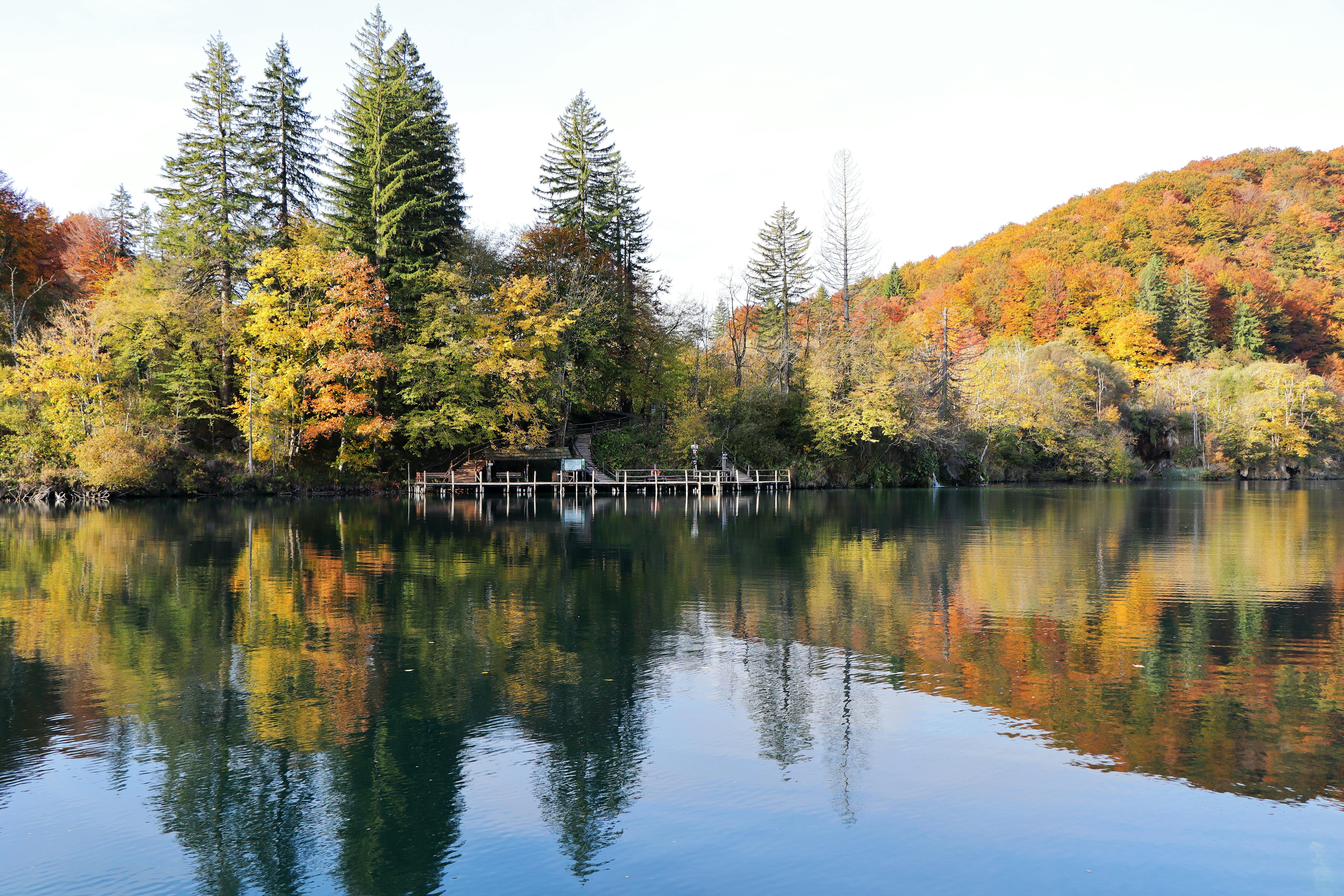 Vibrant autumn foliage reflects in the waters of Plitvice Lakes National Park, Croatia, on a sunny day.