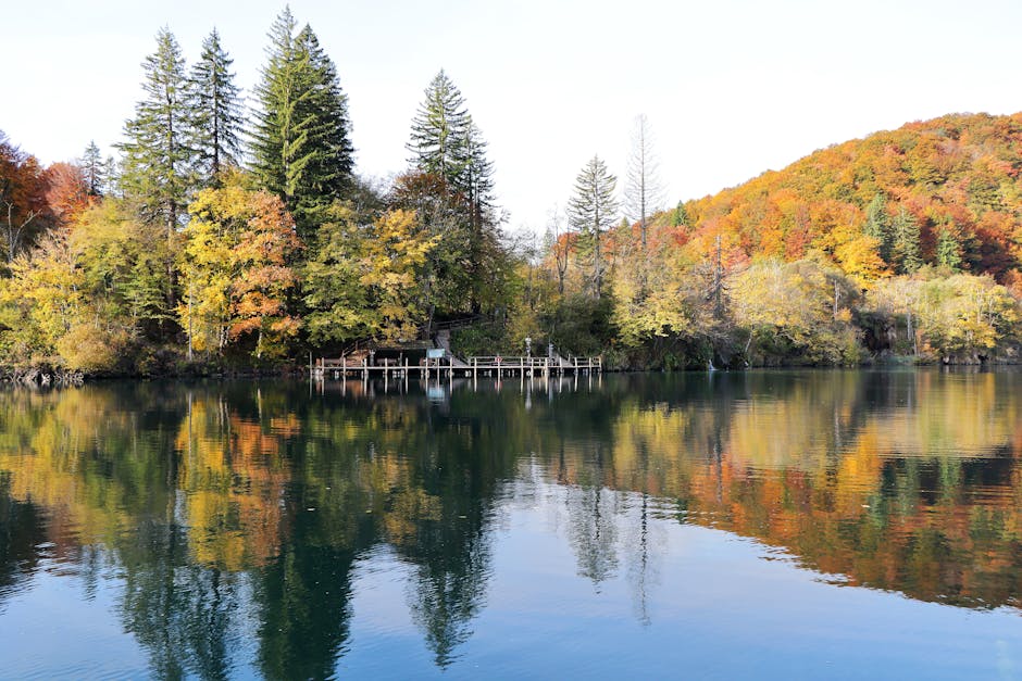 Vibrant autumn foliage reflects in the waters of Plitvice Lakes National Park, Croatia, on a sunny day.