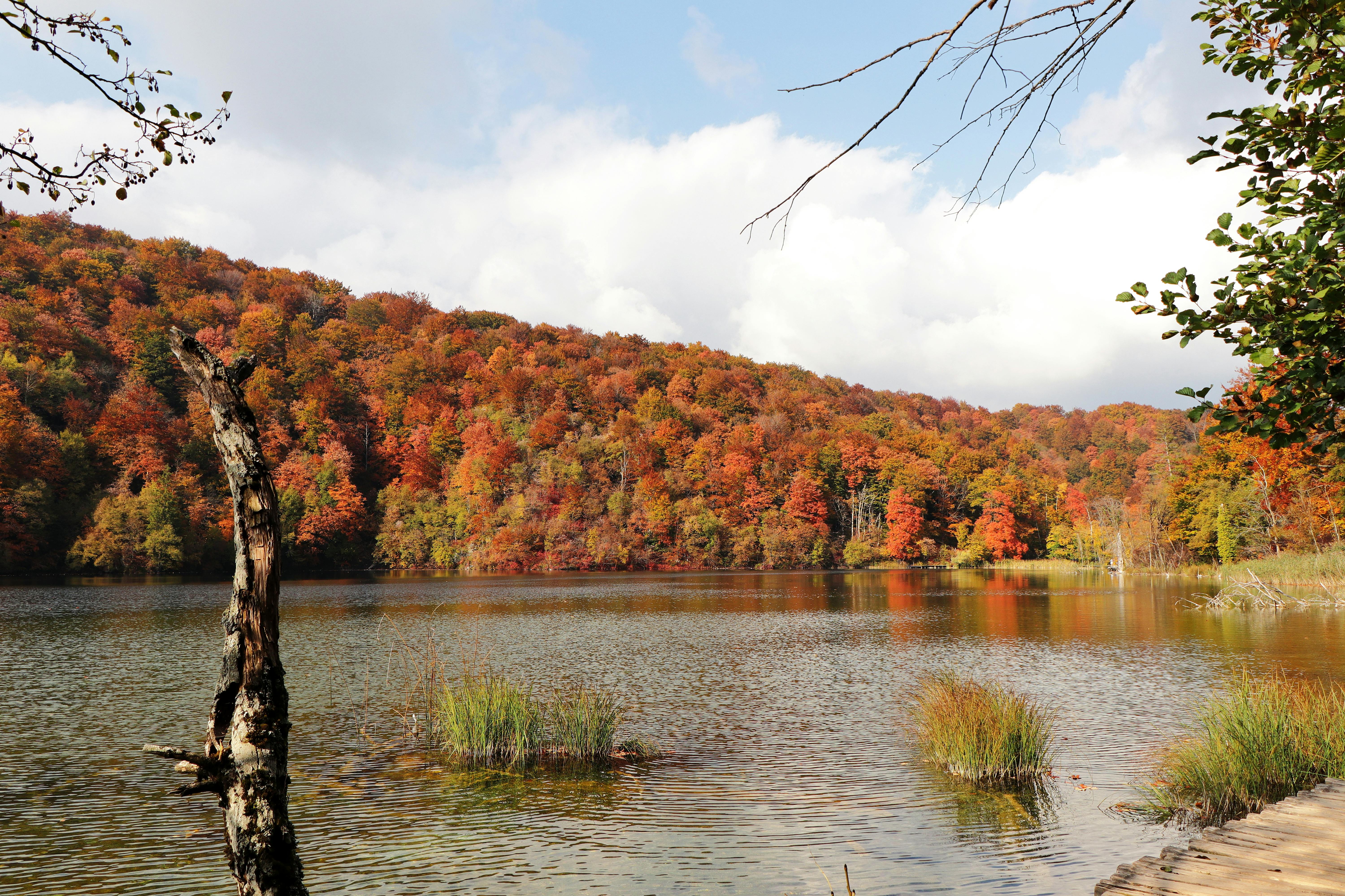 Free stock photo of autumn colors at Plitvice Lakes National Park
