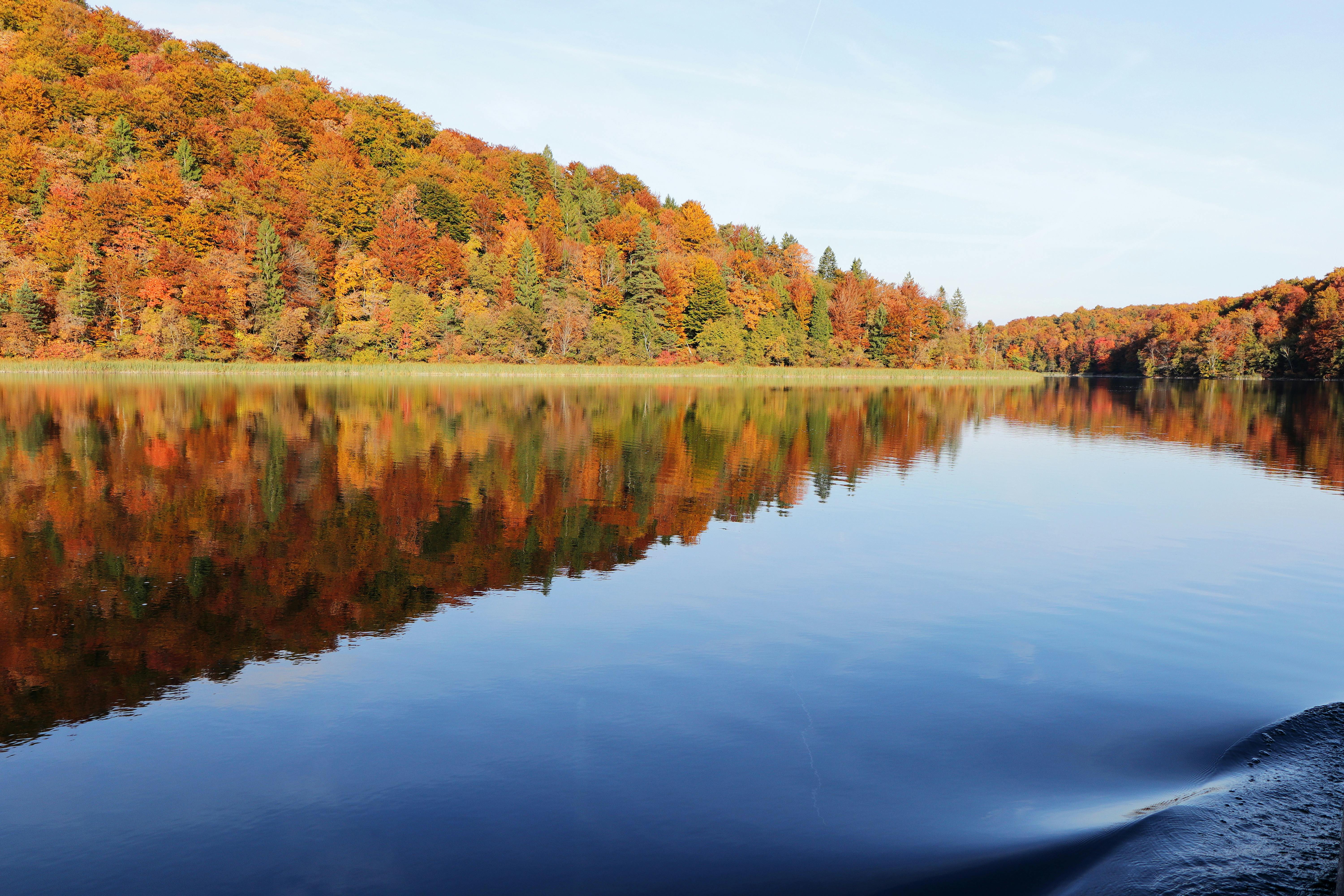 Free stock photo of autumn colors, croatia, digital