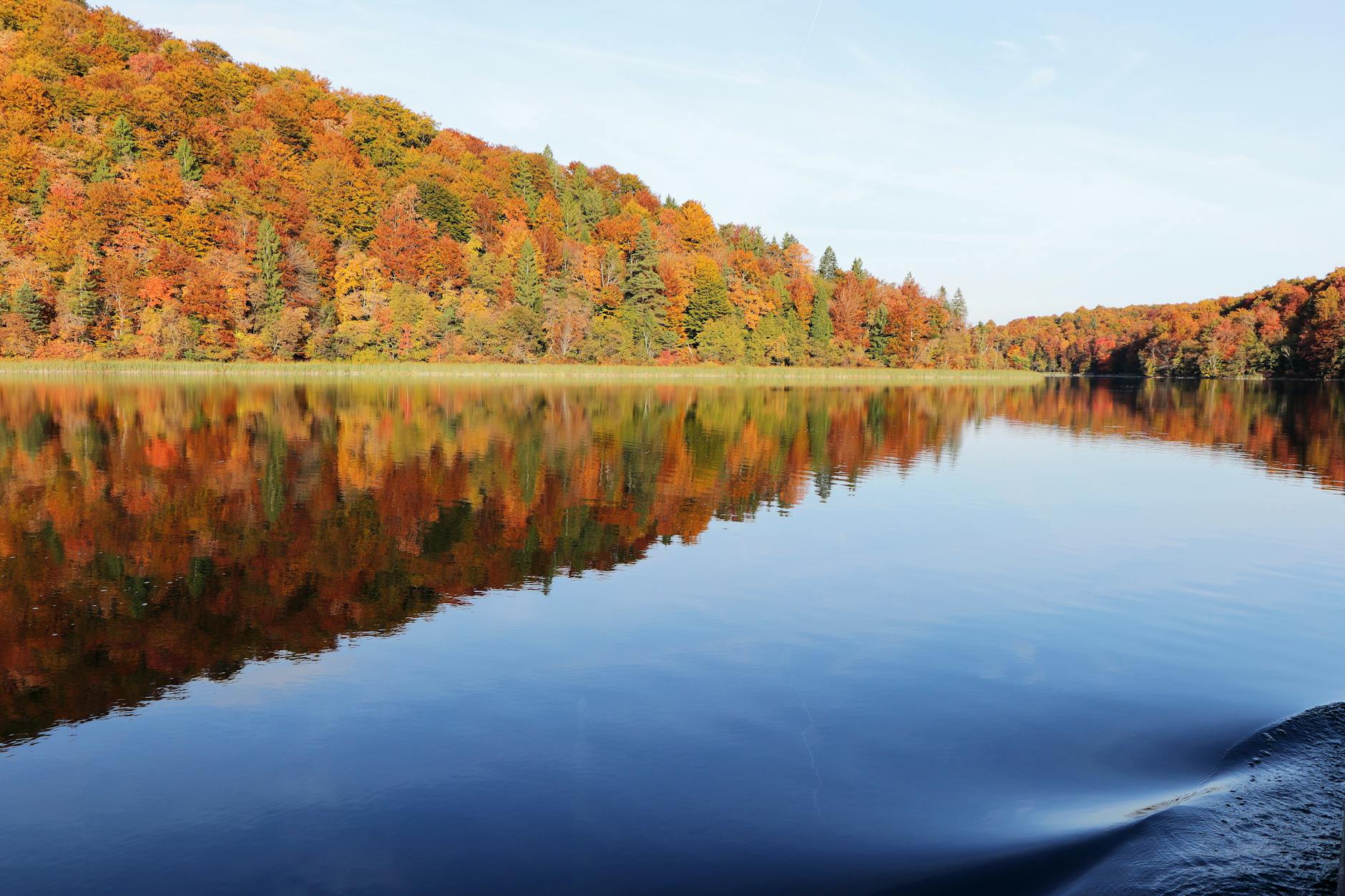 Free stock photo of autumn colors, croatia, digital