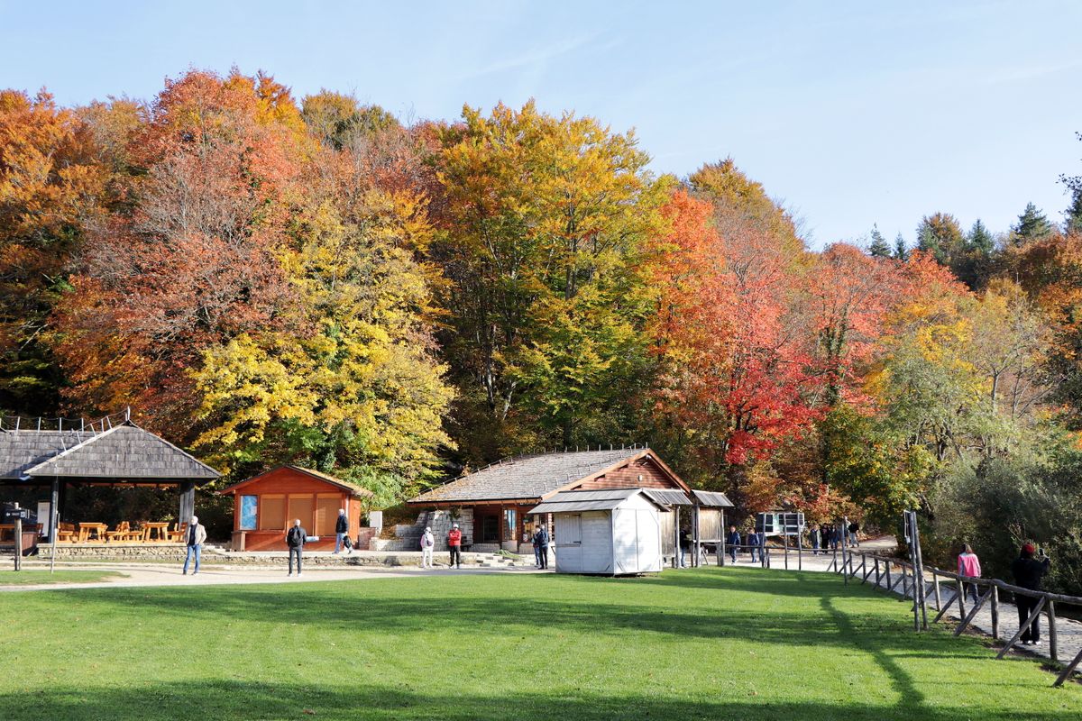Explore the vibrant autumn colors at Plitvice Lakes National Park in Croatia. Perfect for travel and nature enthusiasts.