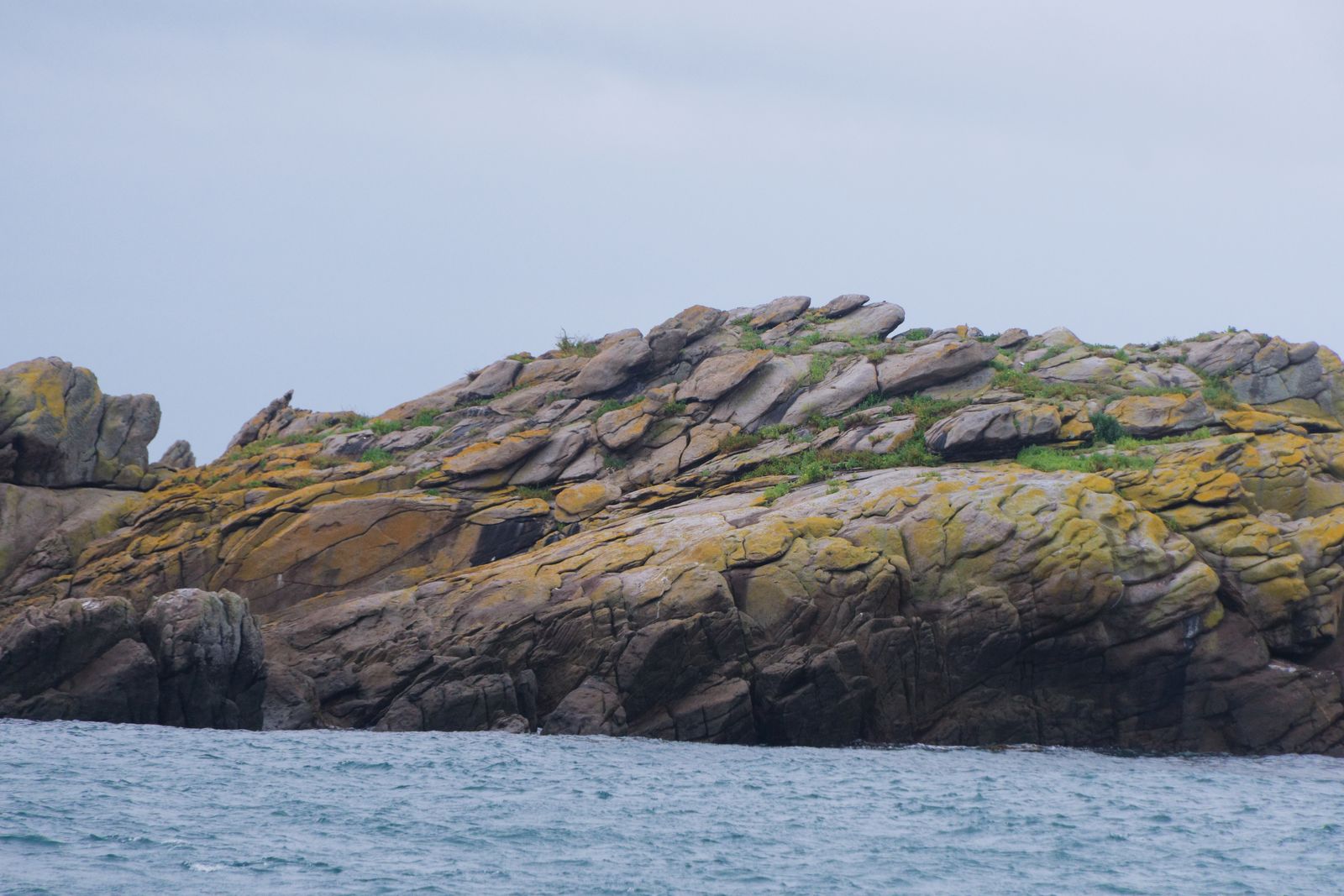 Rochers de granit feuilletés couverts de lichens au-dessus de la mer à Chausey