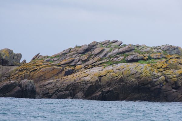 Rochers de granit feuilletés couverts de lichens au-dessus de la mer à Chausey