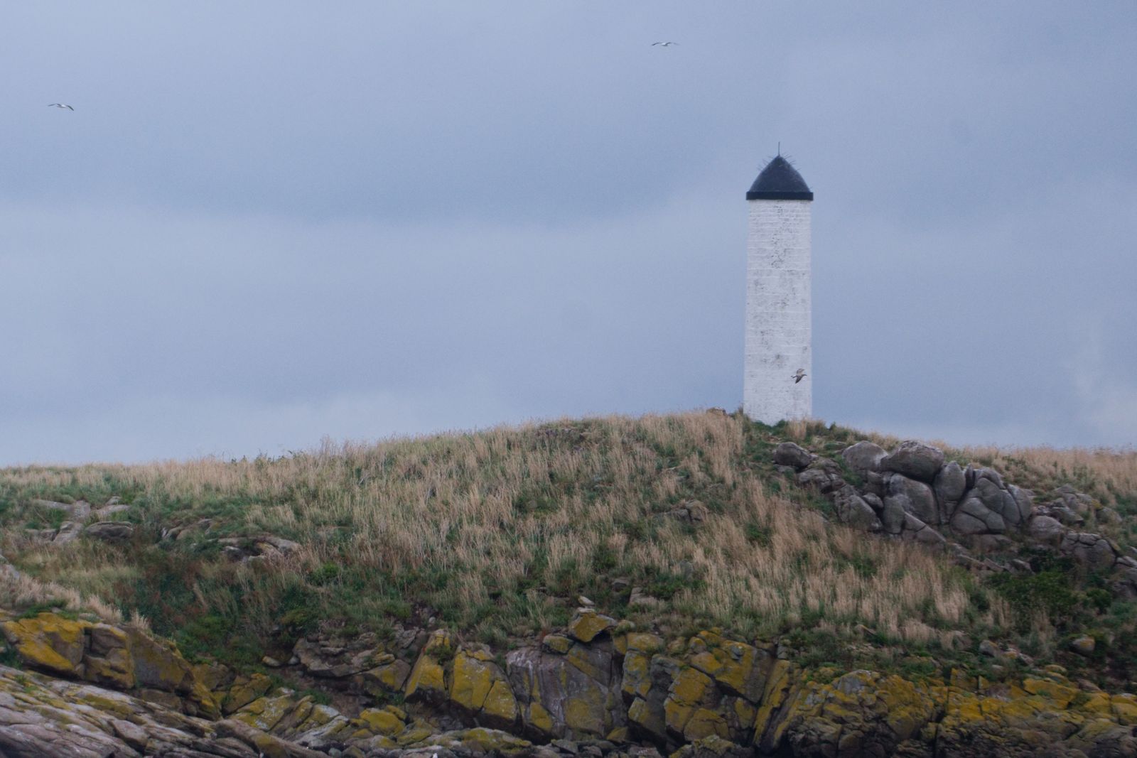 Tourelle d'amer blanche à toit noir sur un îlot de granit herbeux à Chausey