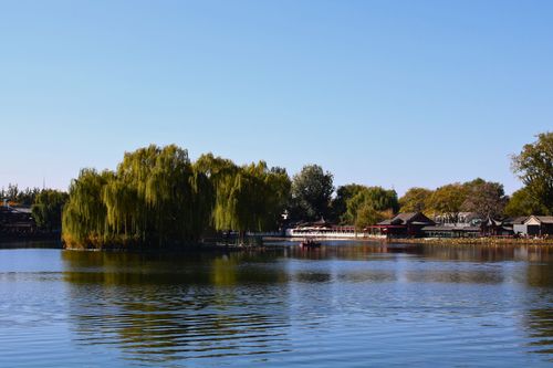 Free Serene summer view of a tranquil lake with willow trees and traditional Chinese architecture in Beijing, China. Stock Photo