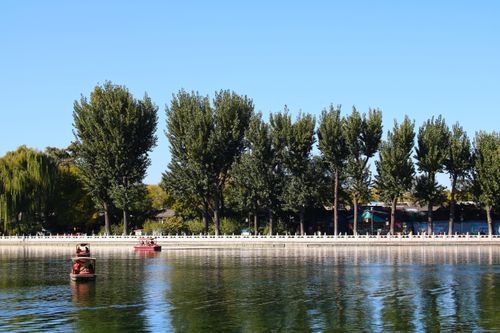 Free Enjoy a peaceful day by the trees and waters at Shichahai Lake, Beijing. Stock Photo