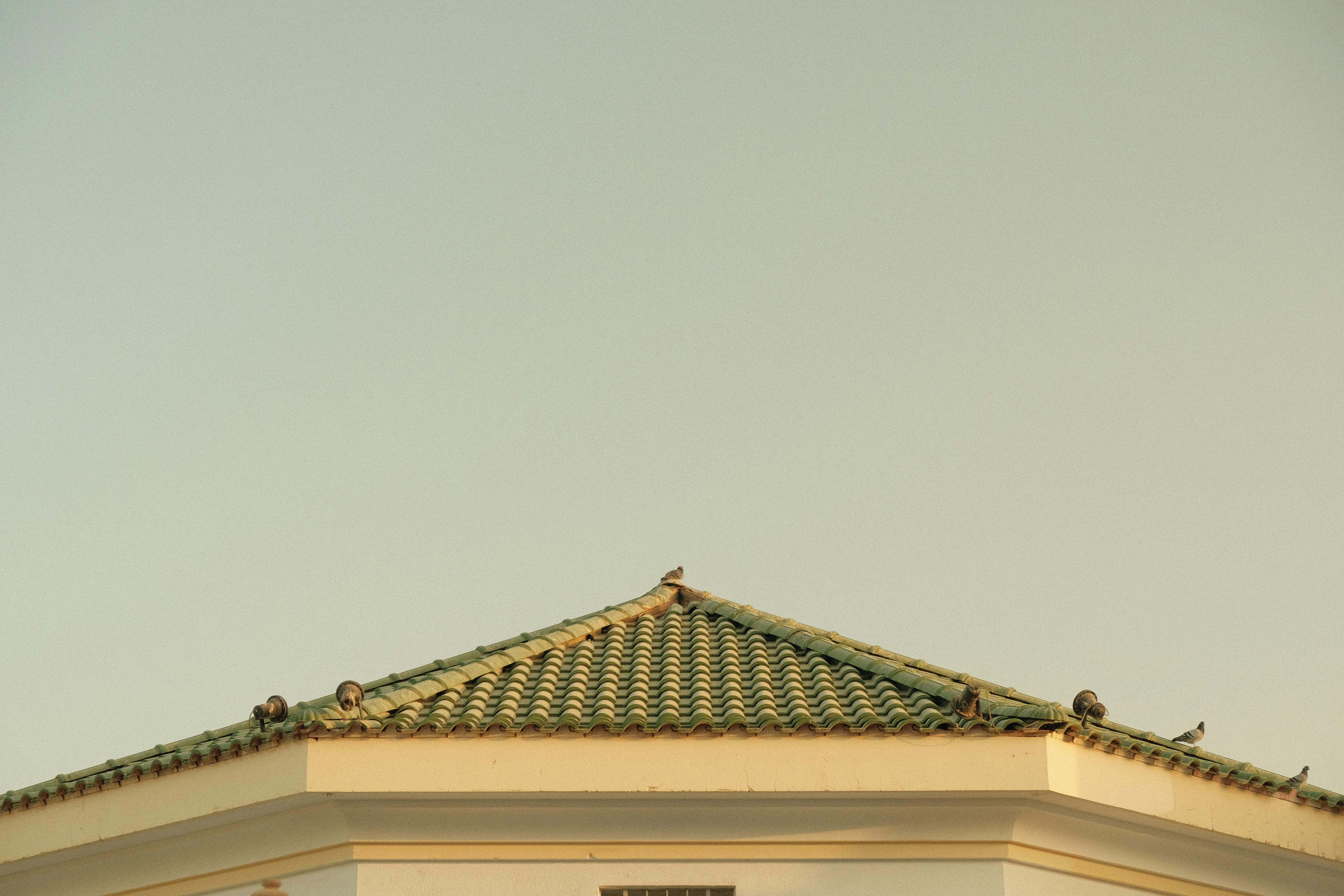 gratis Rustig beeld van een gebouw met vogels die op het groene pannendak zitten in de schemering. Stockfoto