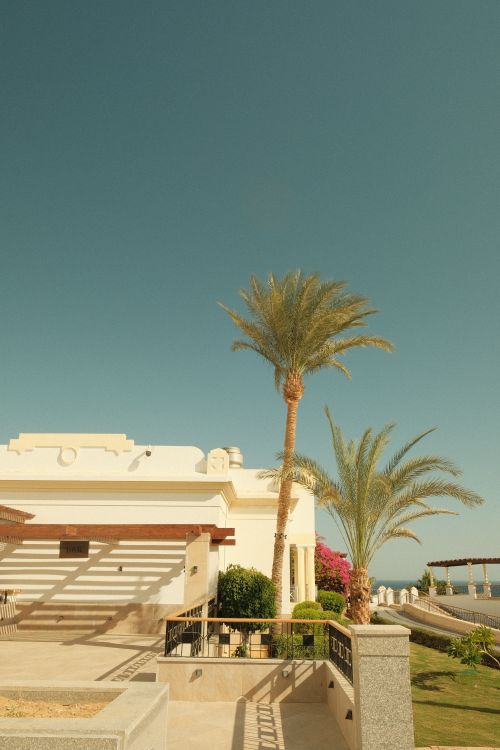 Free A beautiful resort with palm trees and ocean view, perfect for a relaxing getaway. Stock Photo