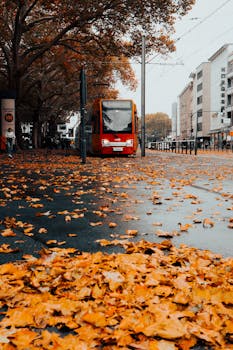Scenic autumn street in Cologne, Germany with colorful leaves and public transport.