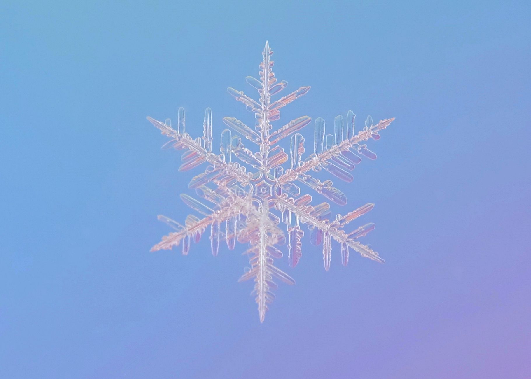 Frozen 3 official release date - Frozen 3 Release Date