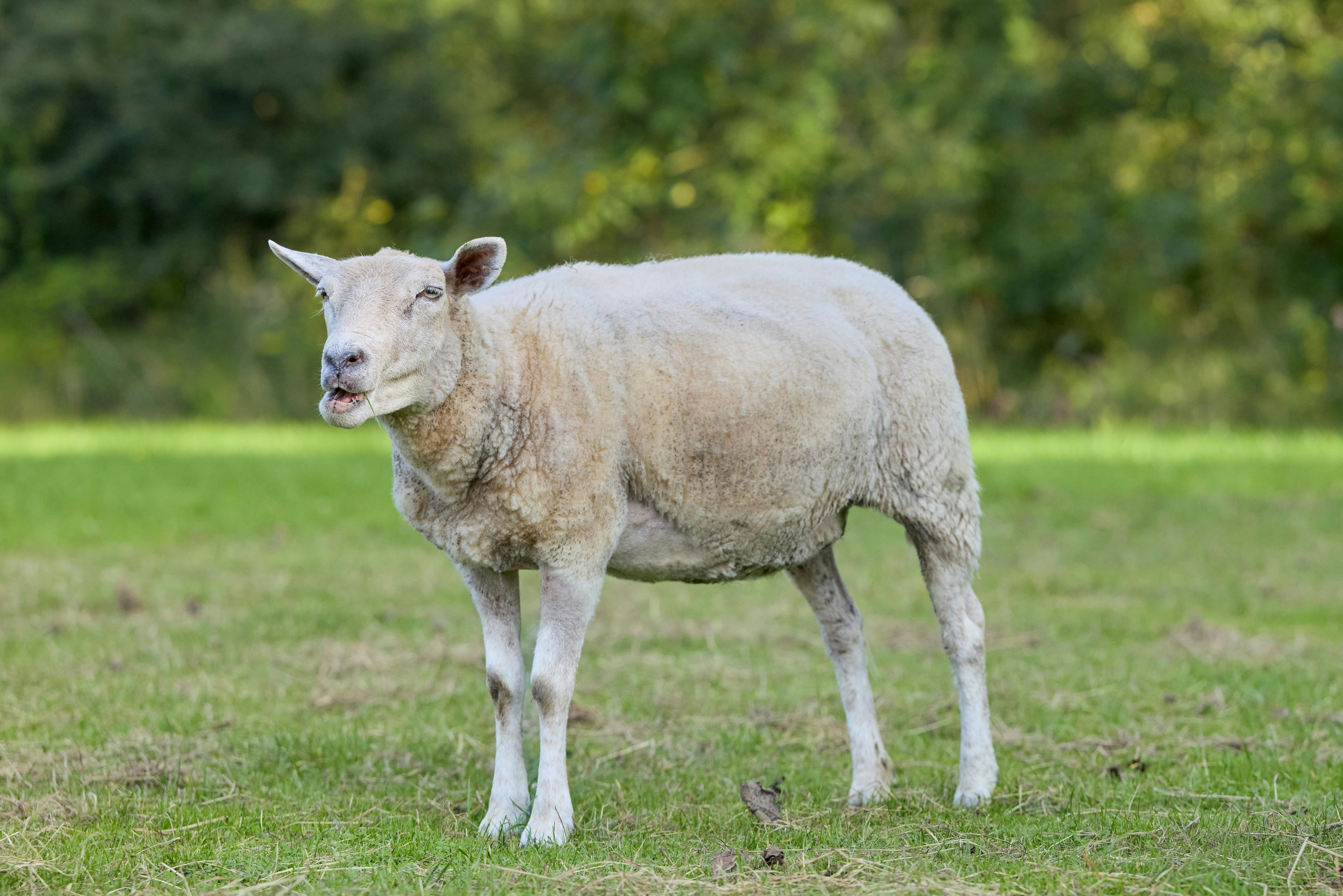 Understanding Energy Consumption and Carbon Footprint: How to Reduce Your Impact