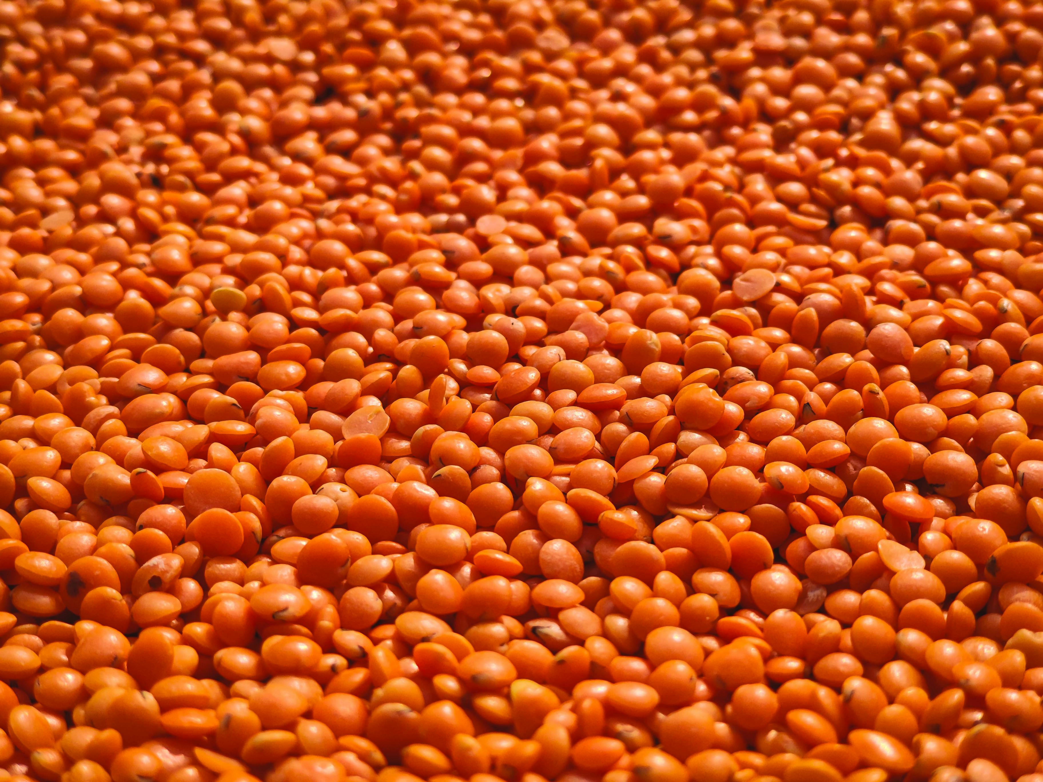 Premium Quality
Pulses