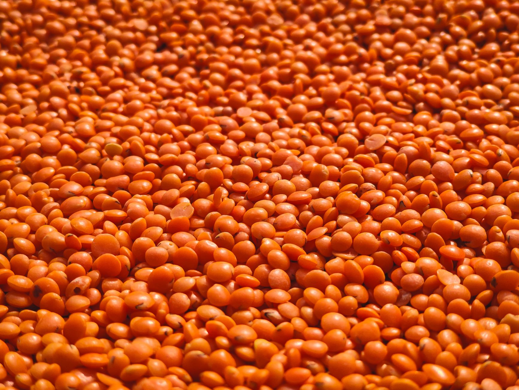 do lentils cause gas, Lentil Type and Form Affect Digestive Comfort do lentils cause gas, Lentil Type and Form Affect Digestive Comfort