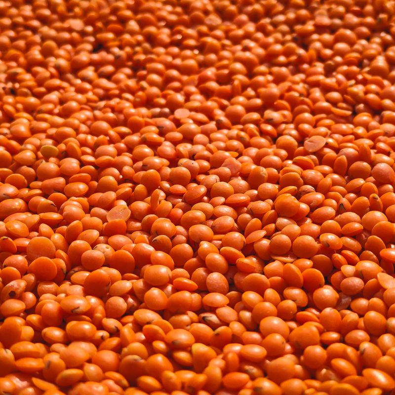 Slow Cooker Lentil Dal with Coconut Milk