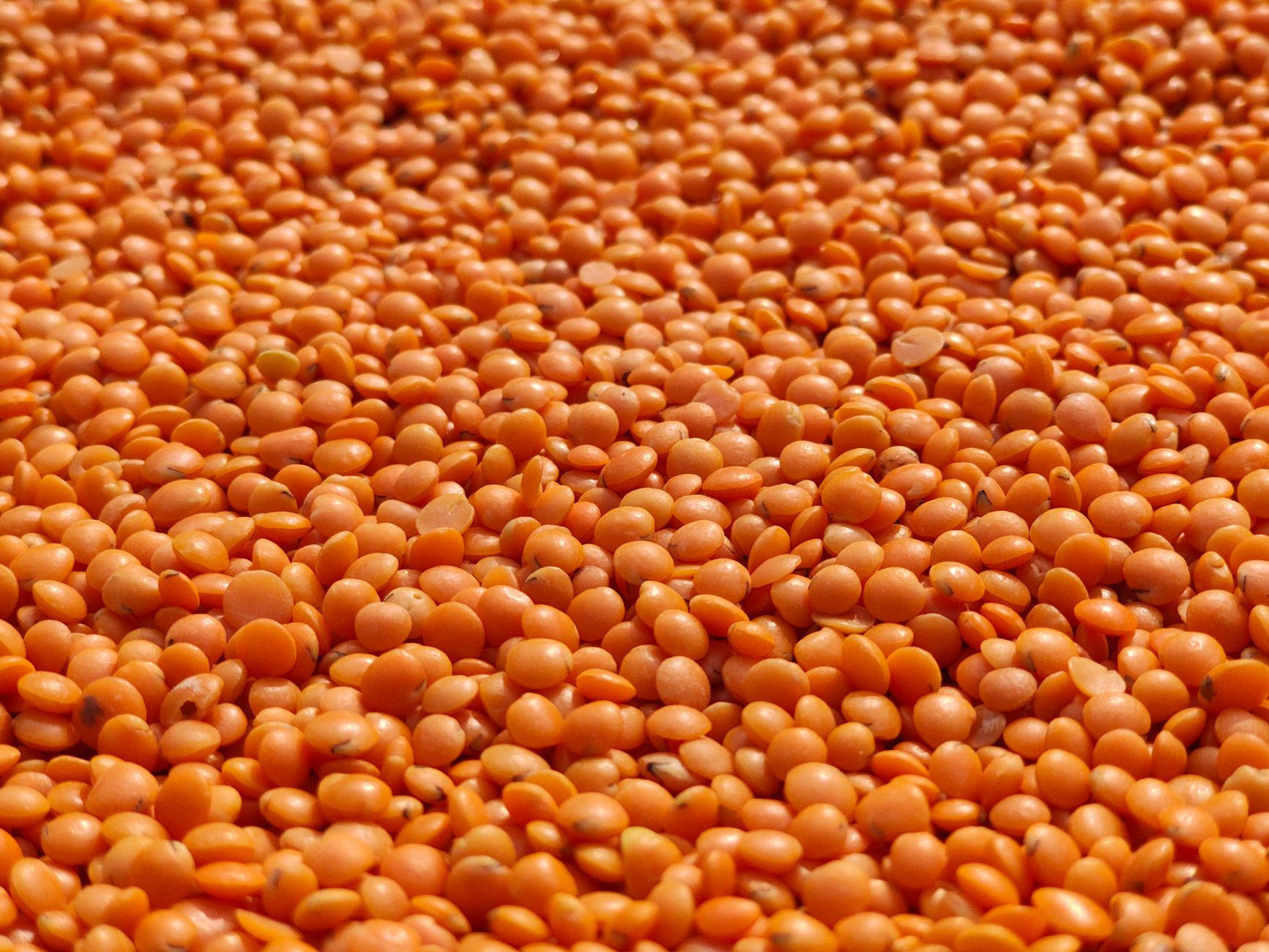 Unlock Your Gut's Power: The Soluble Fiber Secret for Stable Blood Sugar & Weight