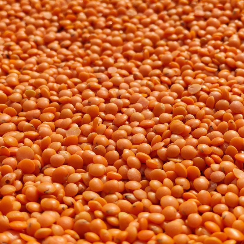 Slow Cooker Red Lentils with Spinach, Garlic and Ghee
