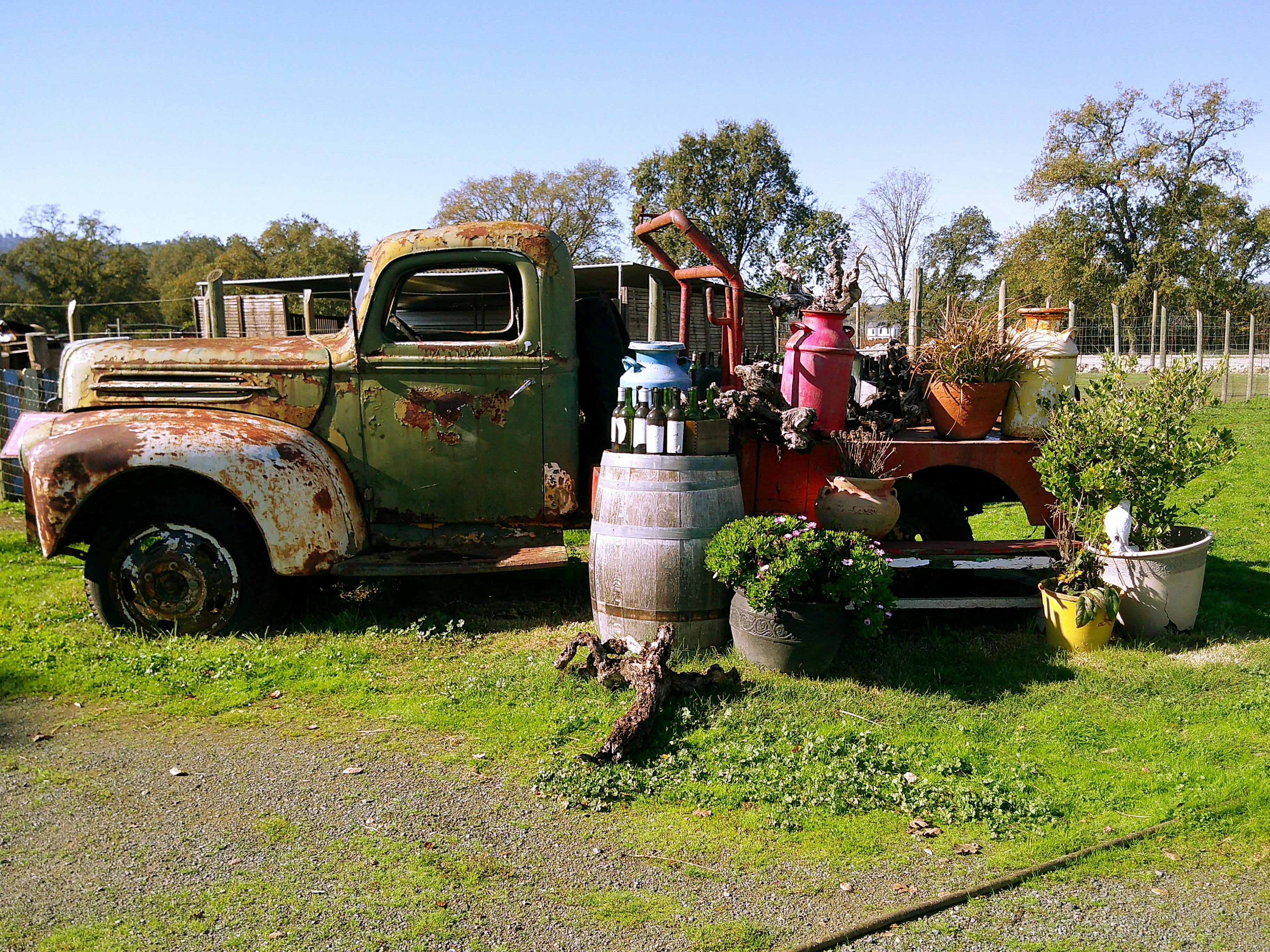 Old rusty truck adorned with potted plants and barrels in a sunny rural setting.