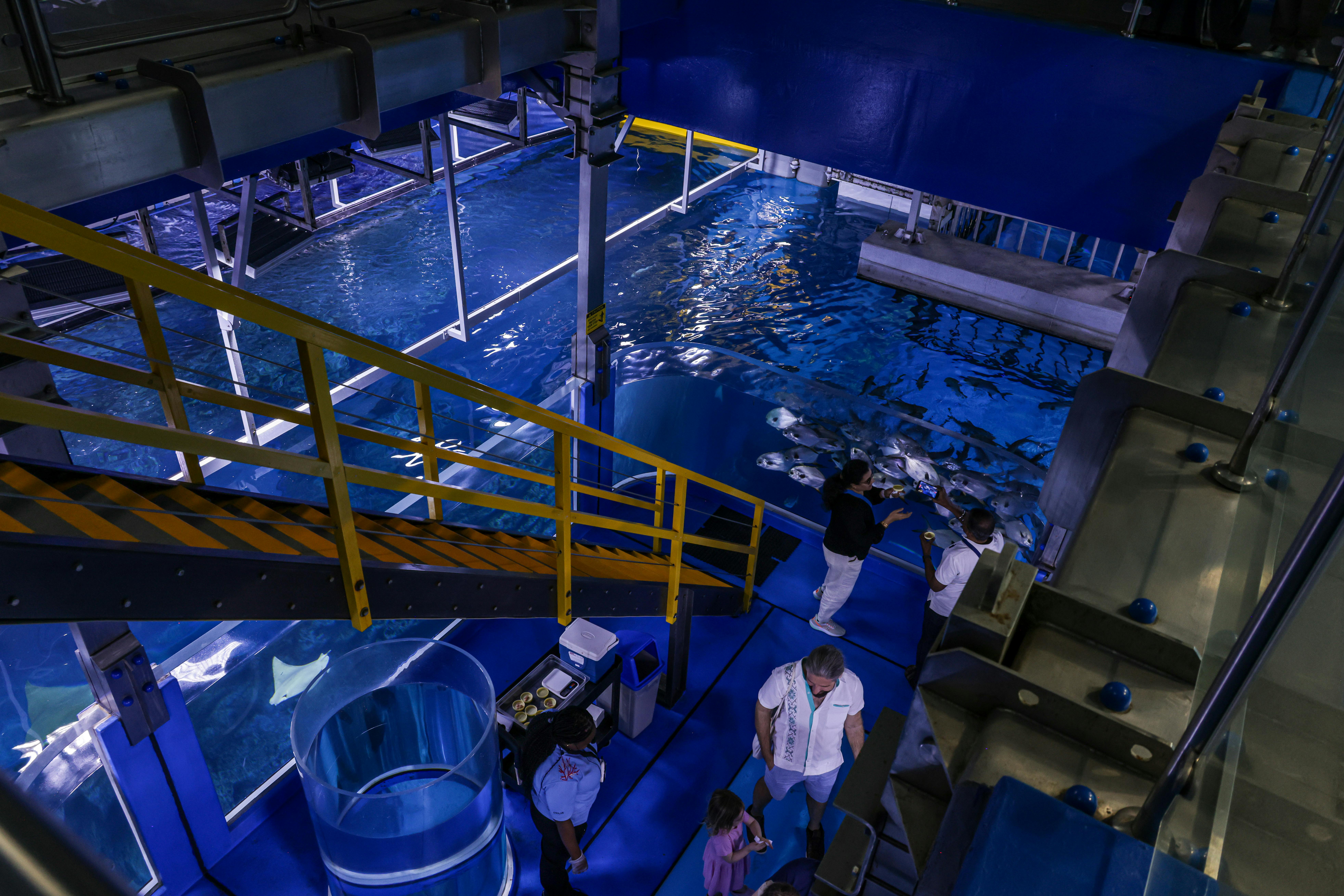 Revolutionary Tech Trends and AI Innovations in Augmented Reality