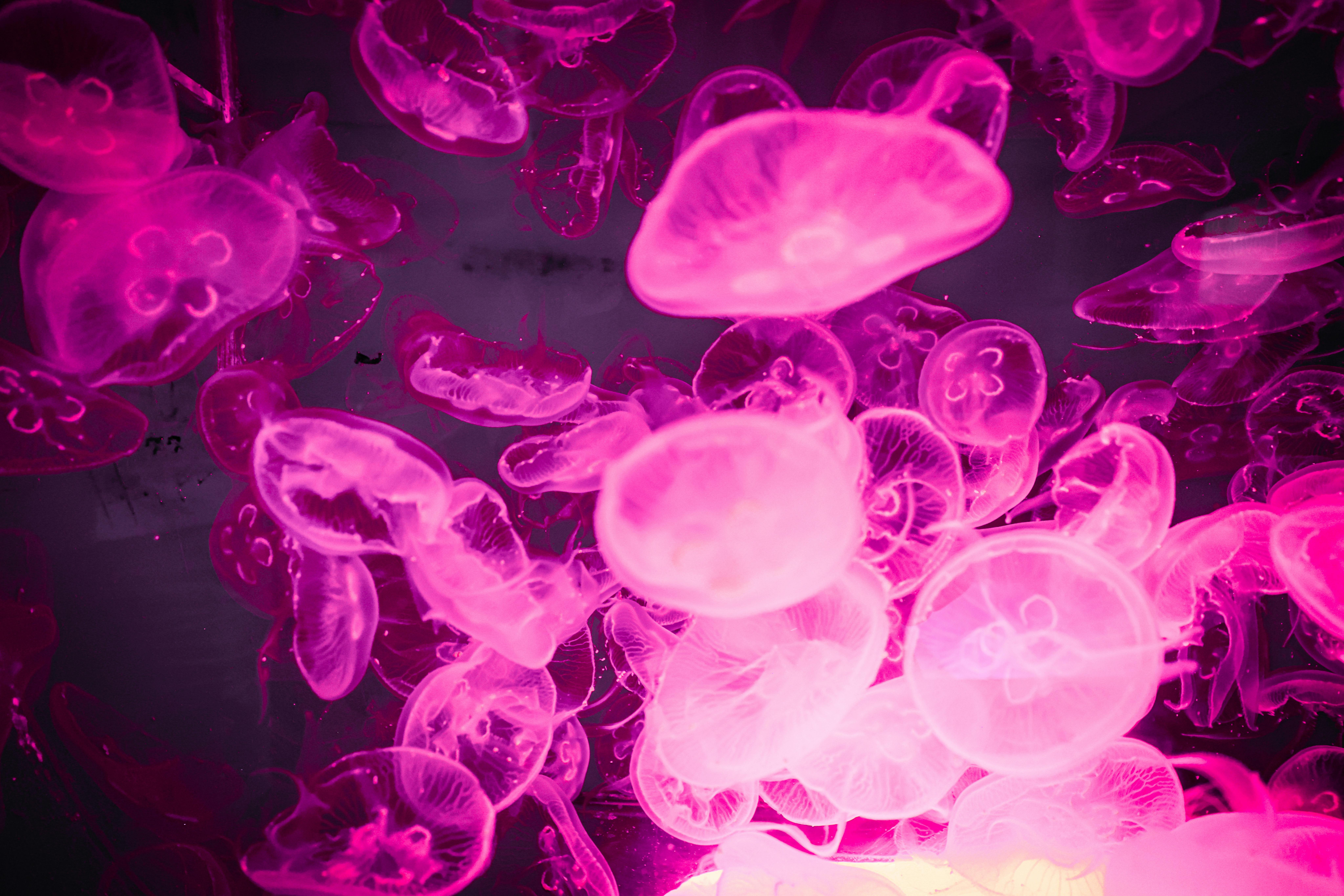 Unbelievable Storylines That Will Blow Your Mind