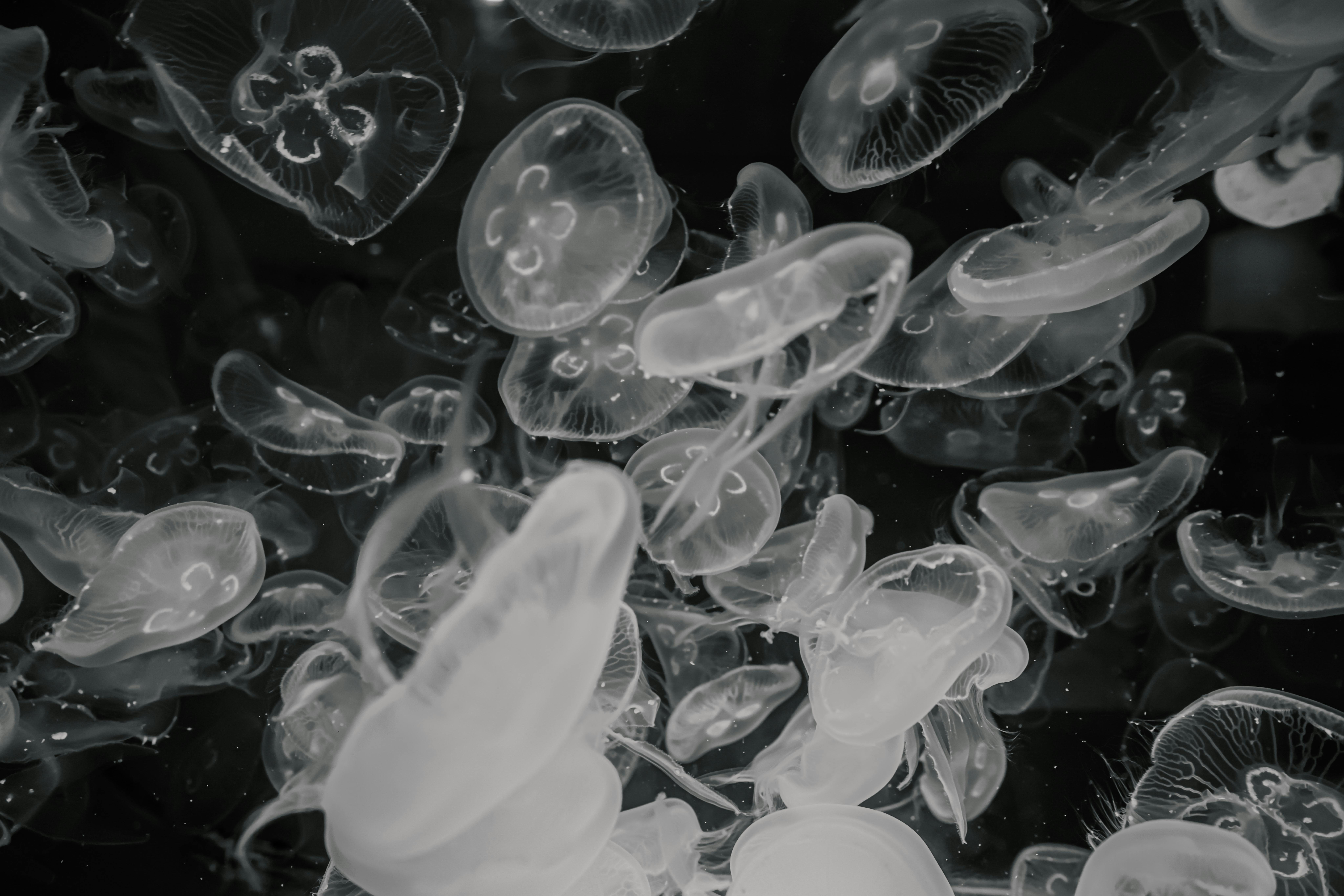 Understanding Government Secrets and Ethics