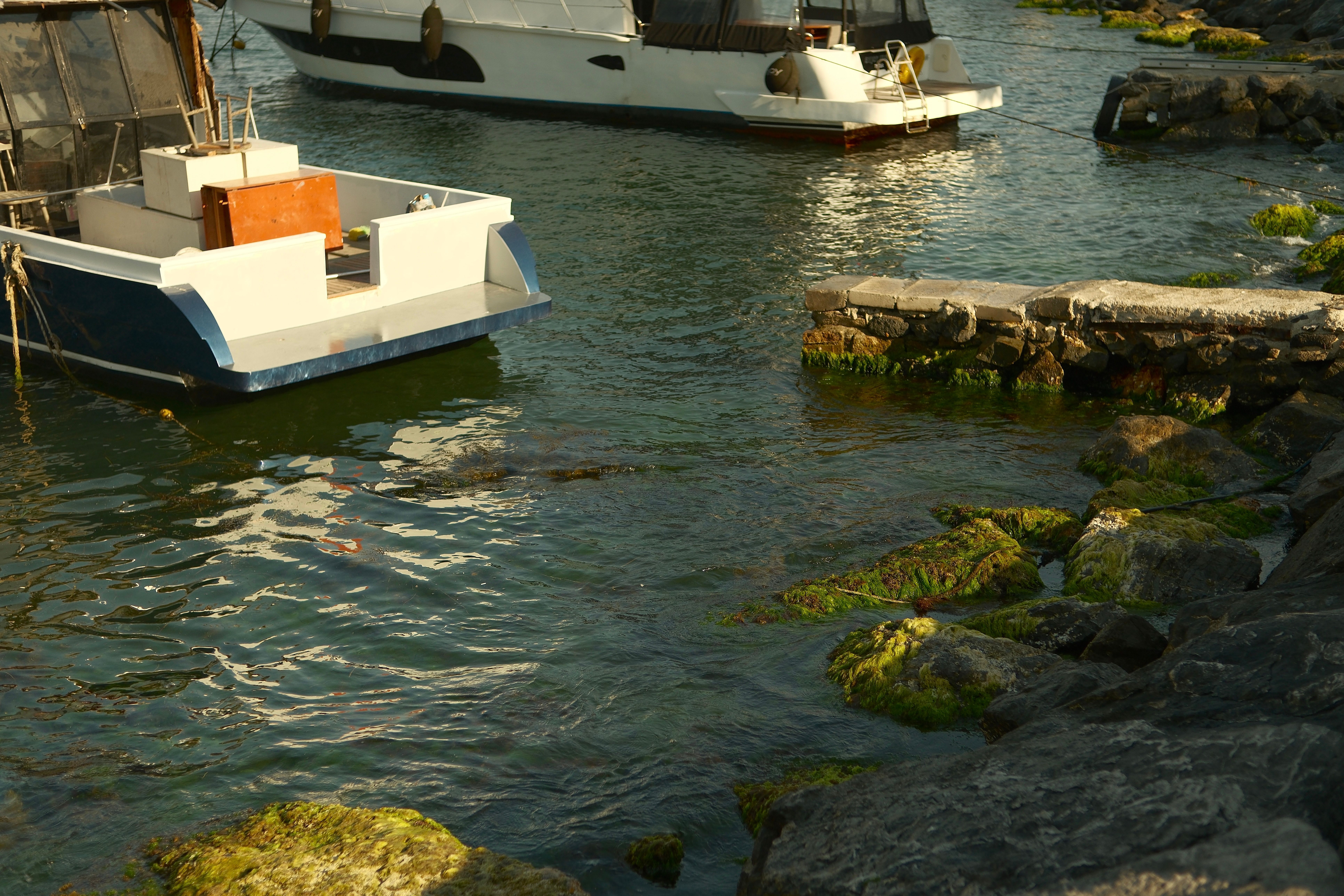 Boats Moored in a Tranquil Rocky Harbor · Free Stock Photo