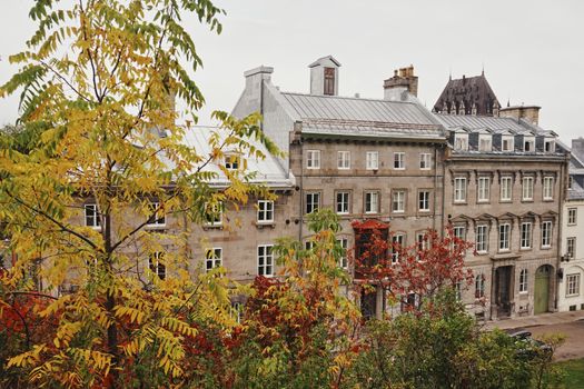 A scenic view of historic buildings framed by vibrant autumn foliage.