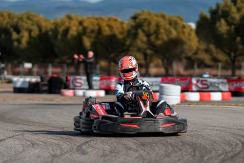 Free A person drives a go-kart on an outdoor racing track surrounded by trees. Stock Photo