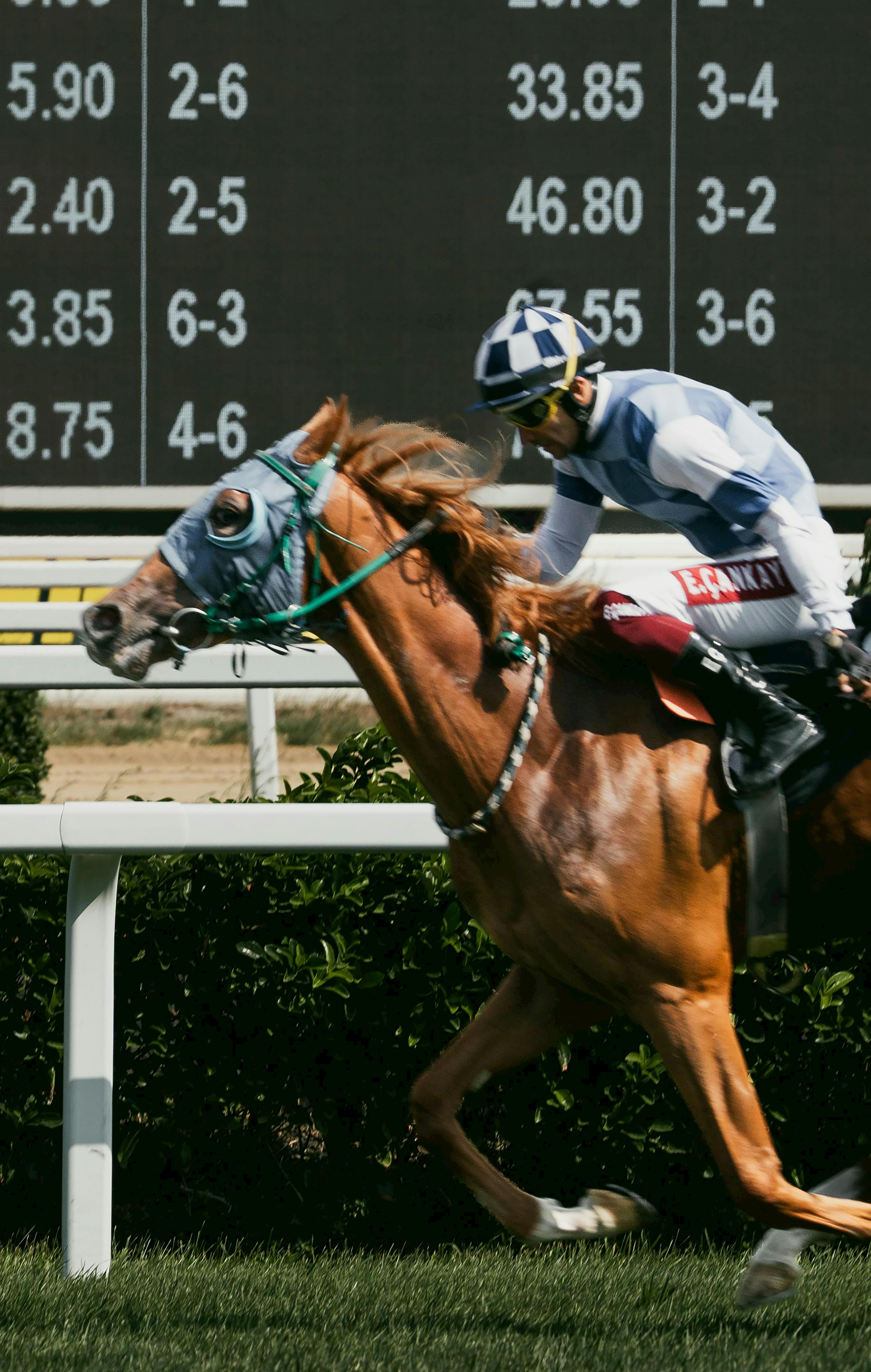 Cherie DeVaux Golden Tempo future outlook represented by a jockey and racehorse competing on an outdoor track