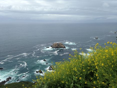 Scenic view of the Pacific Ocean from California coast with vibrant wildflowers in the foreground.
