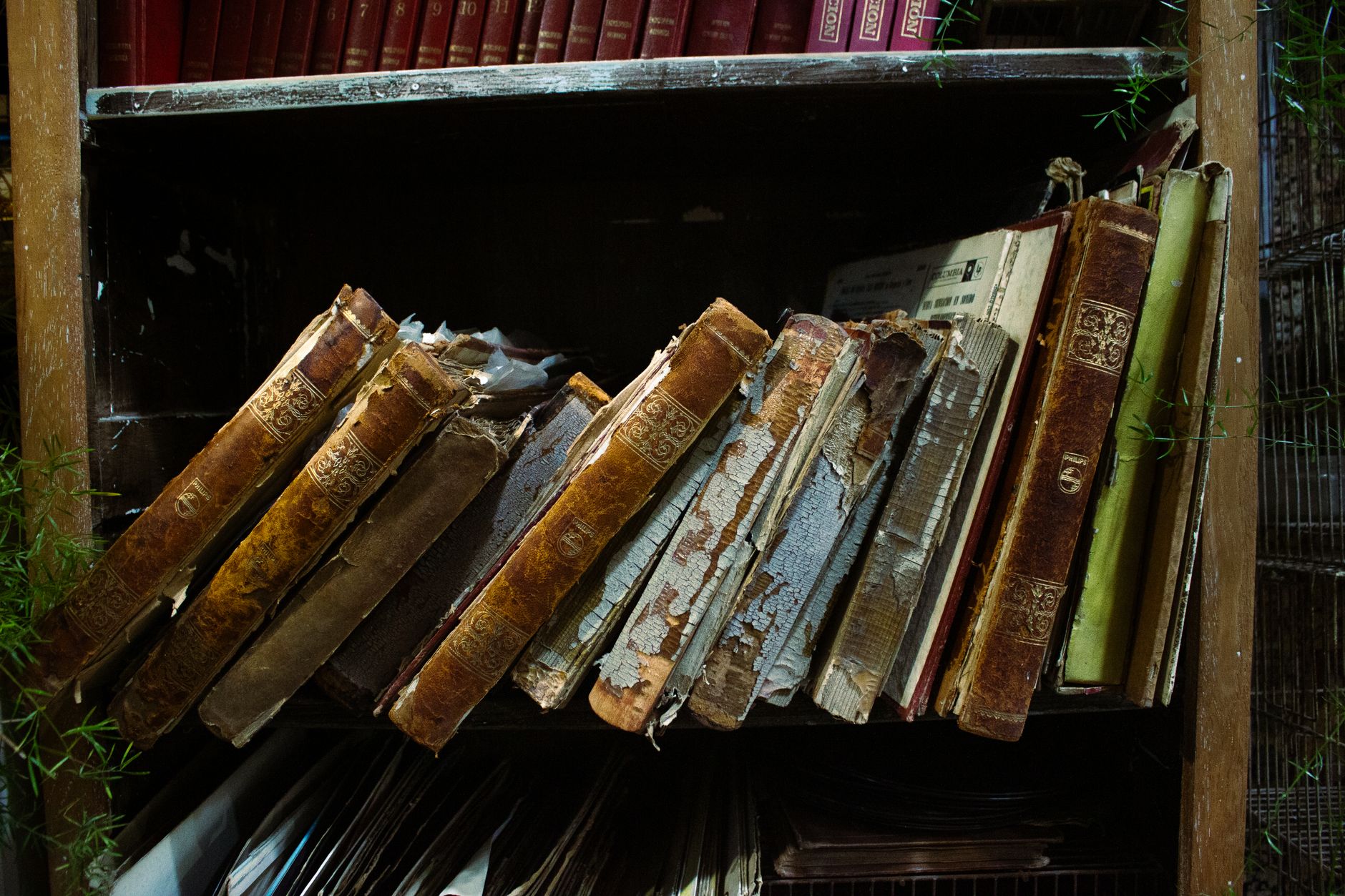 A collection of aged books on a rustic wooden shelf, exuding a vintage and historic charm.