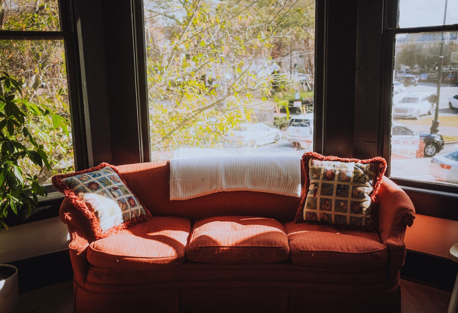 Caistor — movers delivering furniture from a van