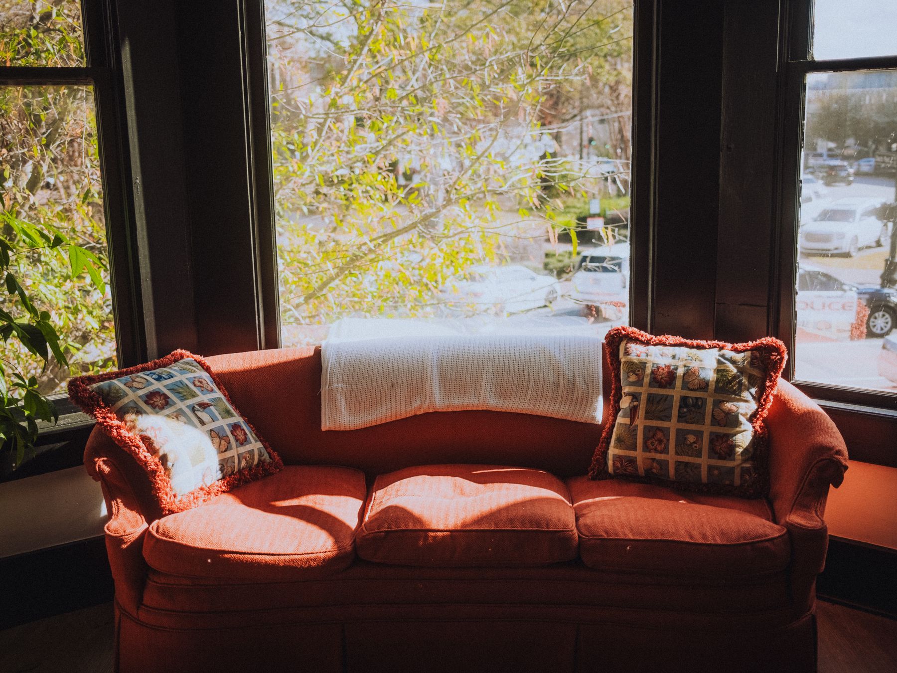 Stedham — professional movers carrying furniture on a house move
