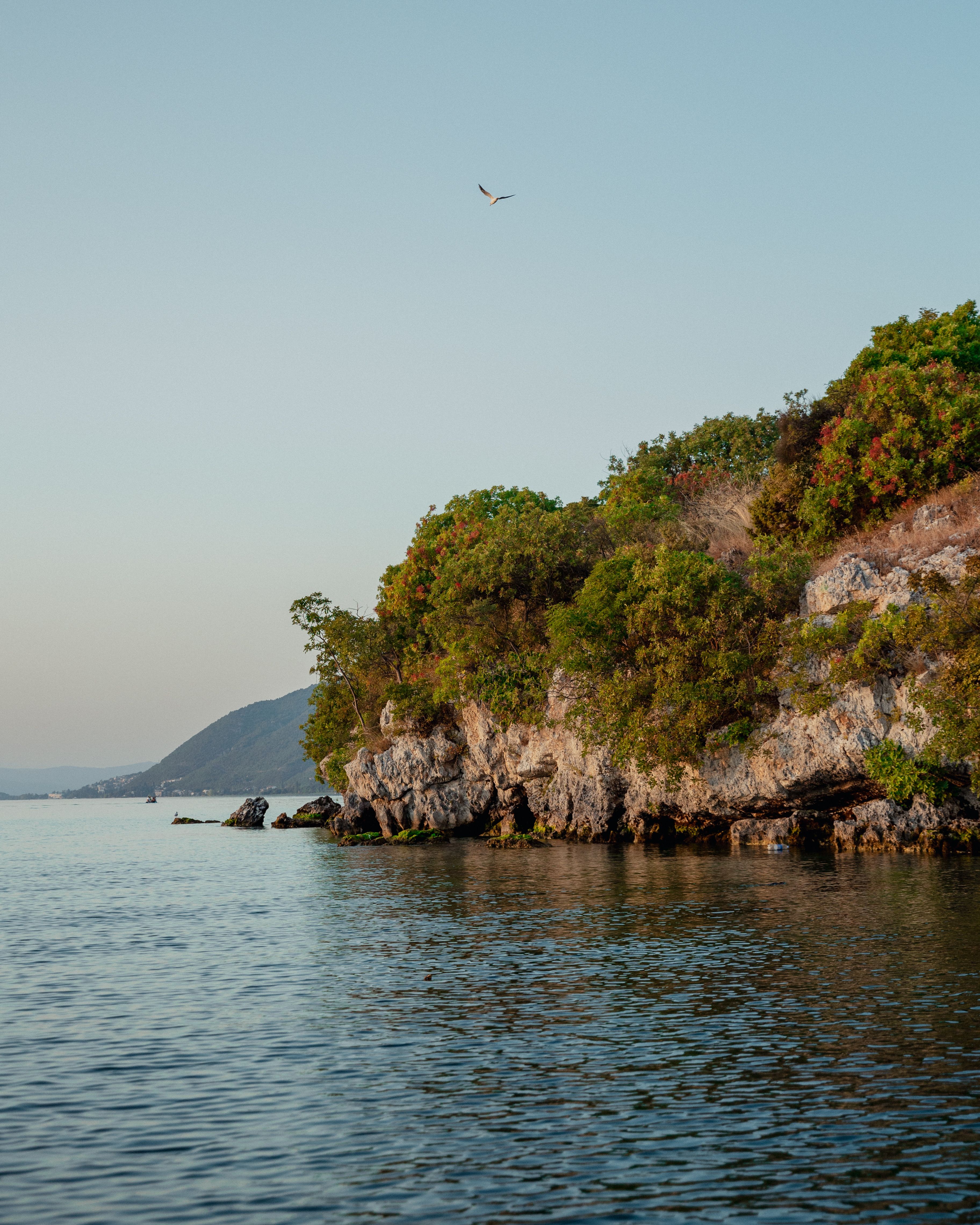 Serene Coastal Scene with Rocky Cliffs and Bird · Free Stock Photo