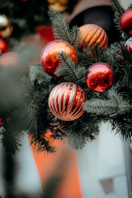 Free Close-up of vibrant red and gold Christmas ornaments on pine branches. Stock Photo