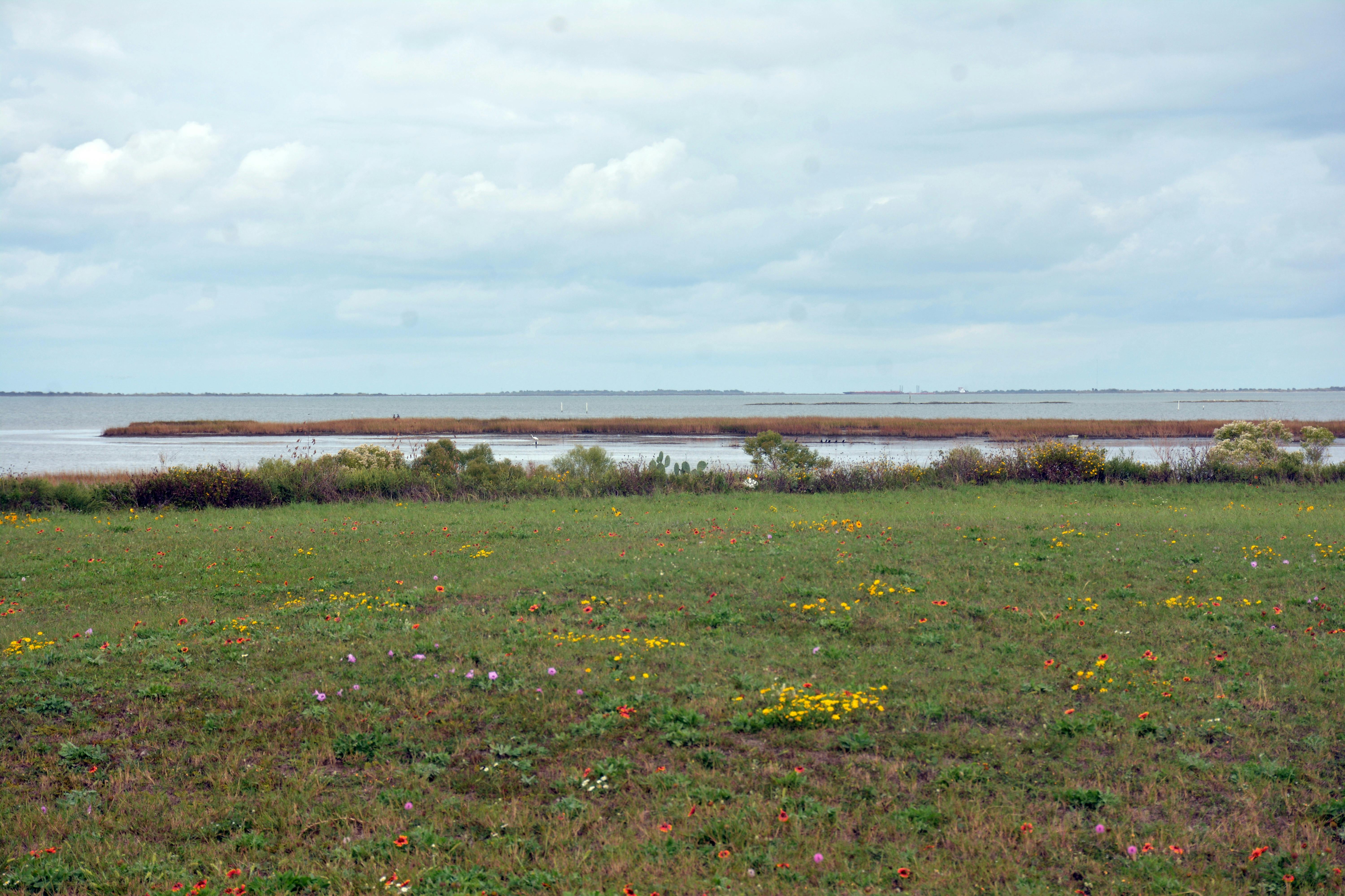 Landmarks in Galveston